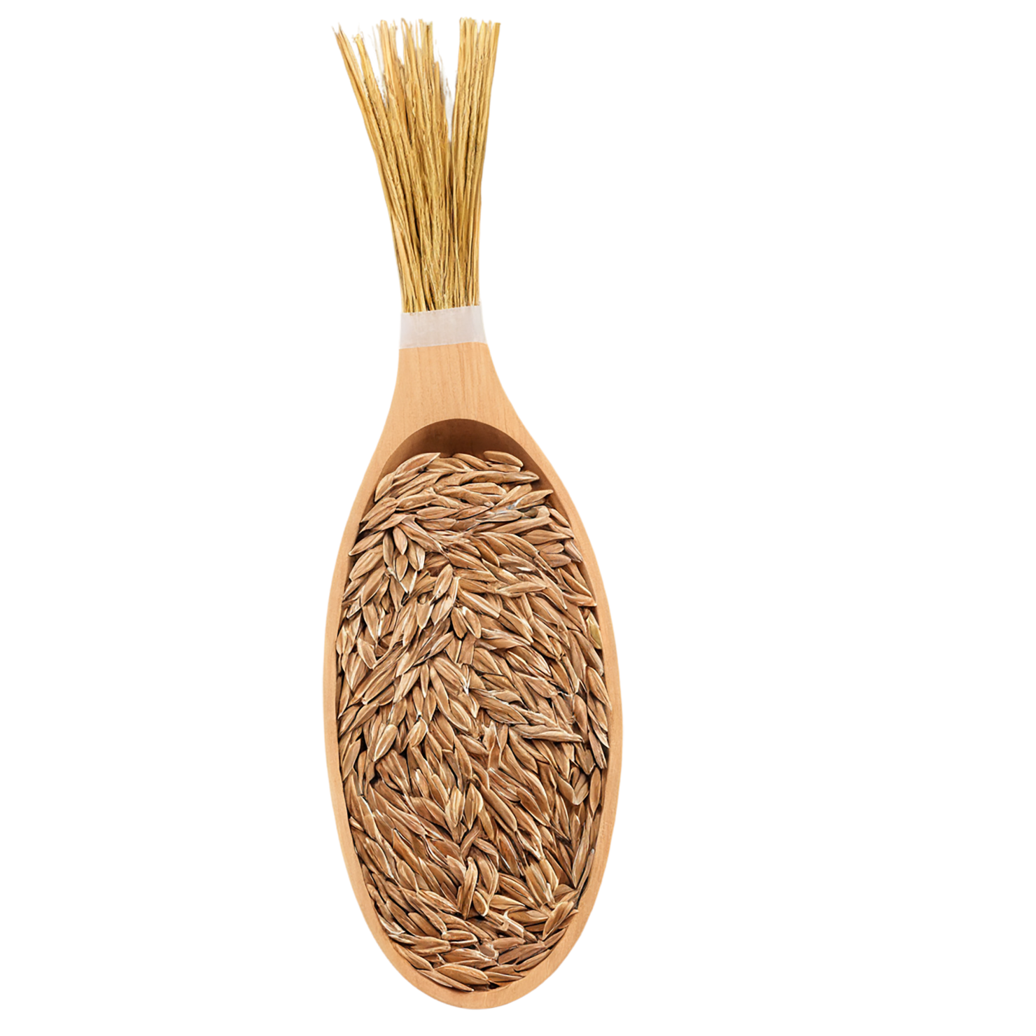 Rye grains isolated on transparent background #5780