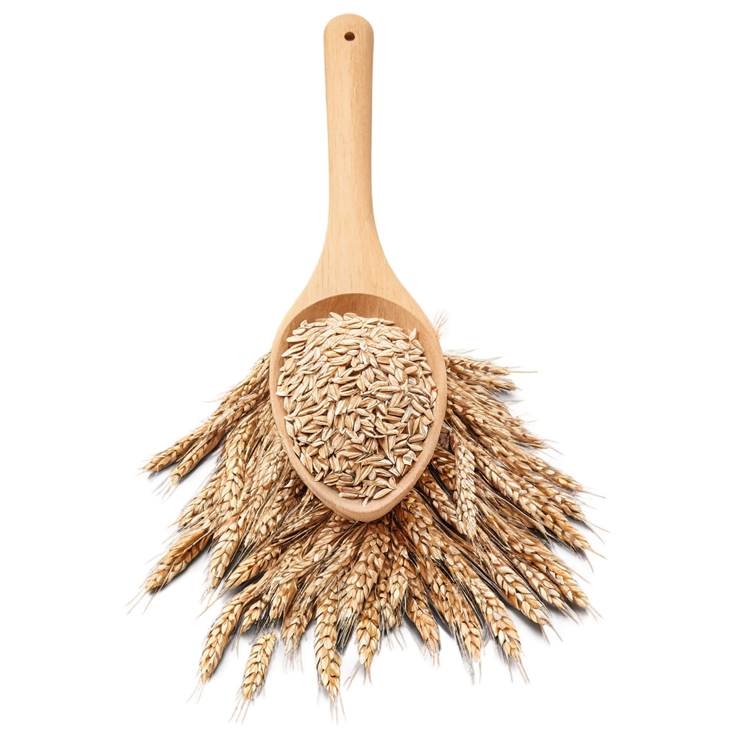 Rye grains isolated on transparent background #5781