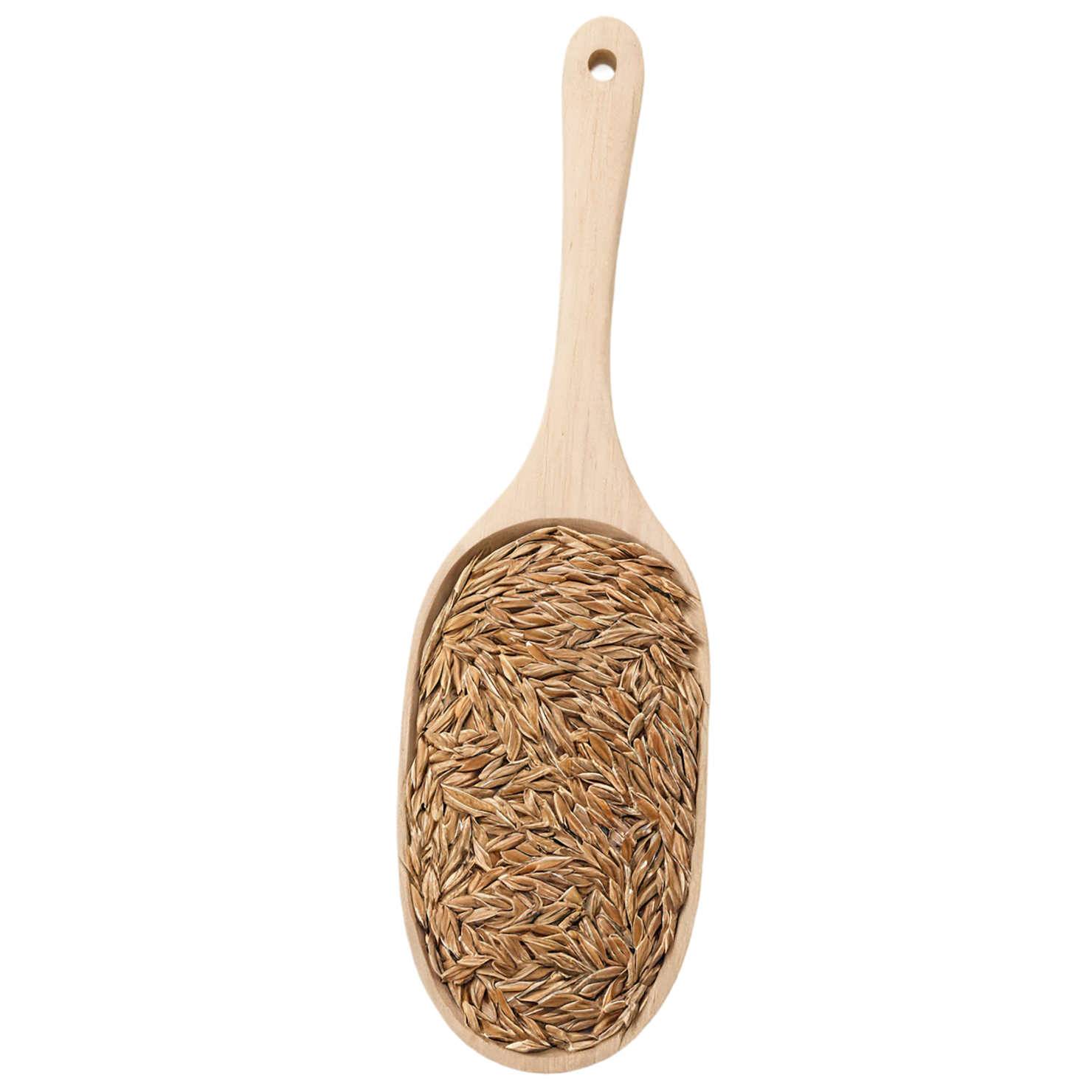 Rye grains isolated on transparent background #5783