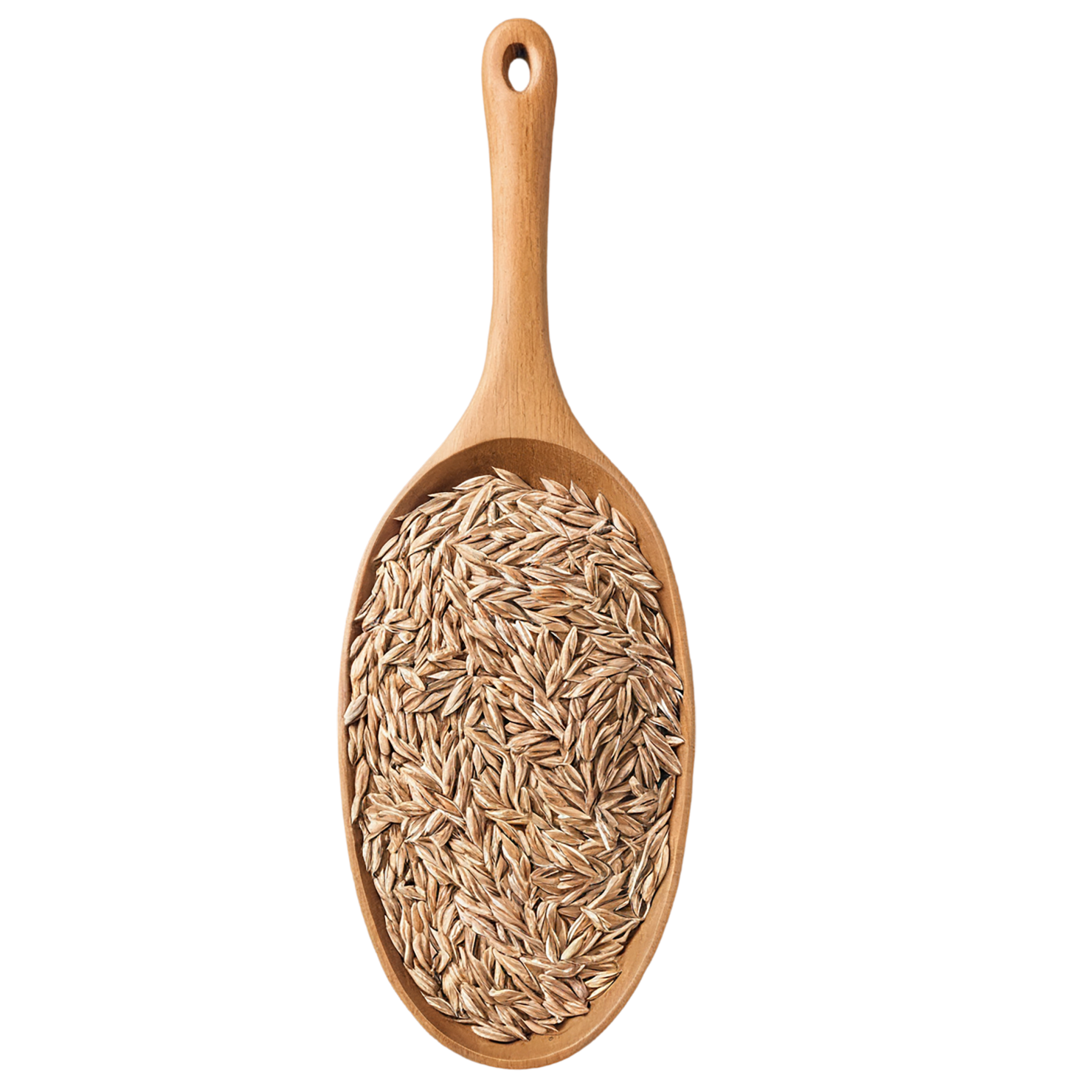 Rye grains isolated on transparent background #5787