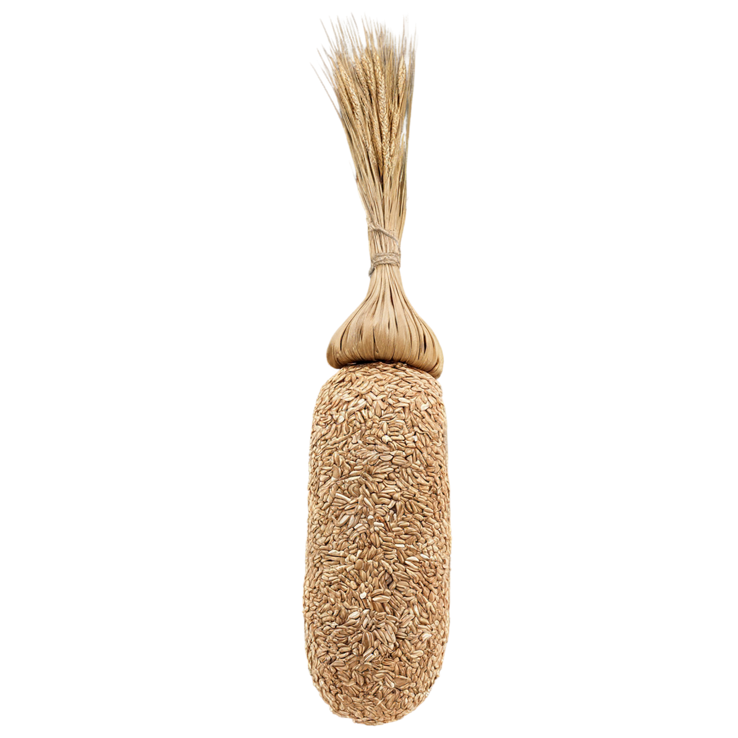 Rye grains isolated on transparent background #5790