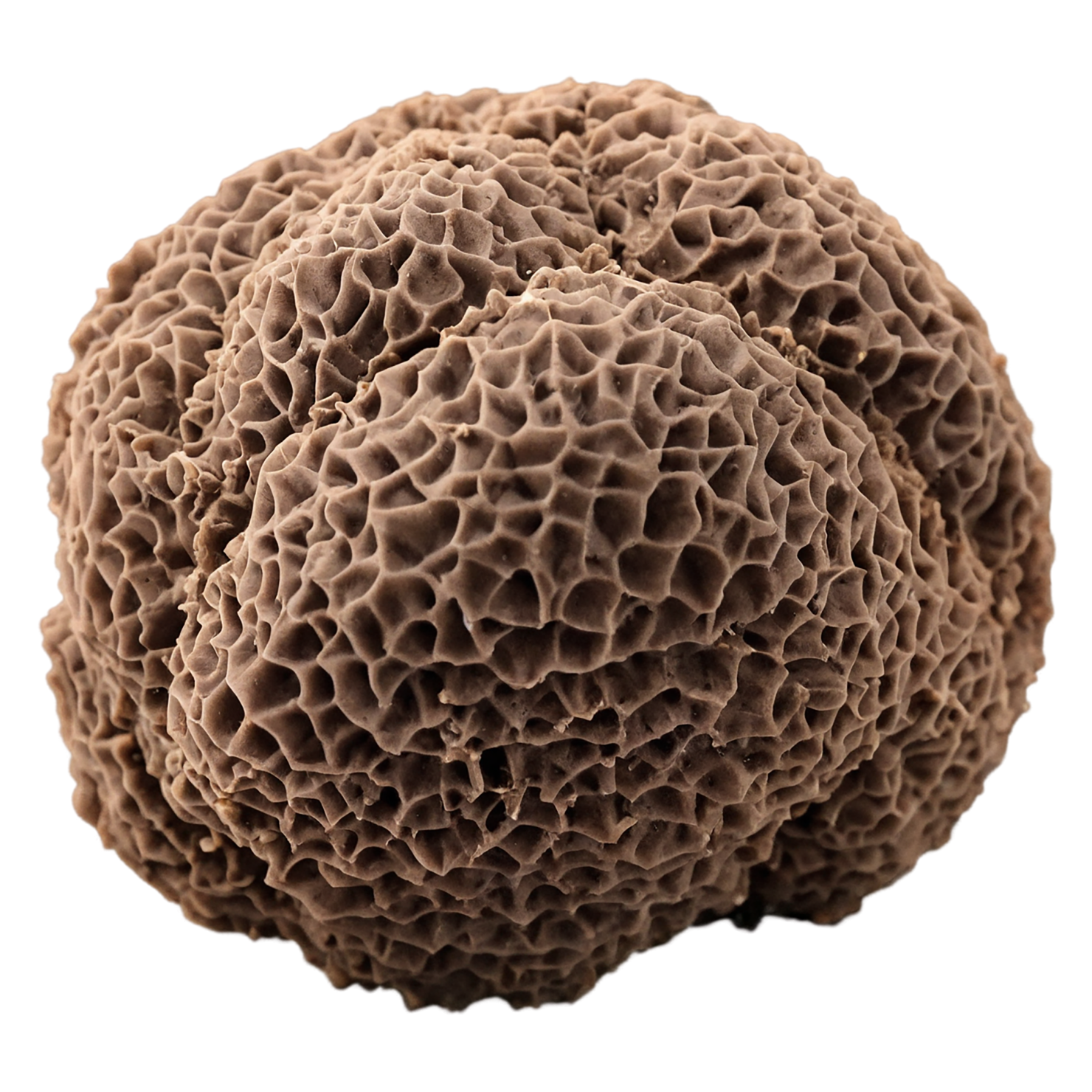 Truffles desserts isolated on transparent background #5795