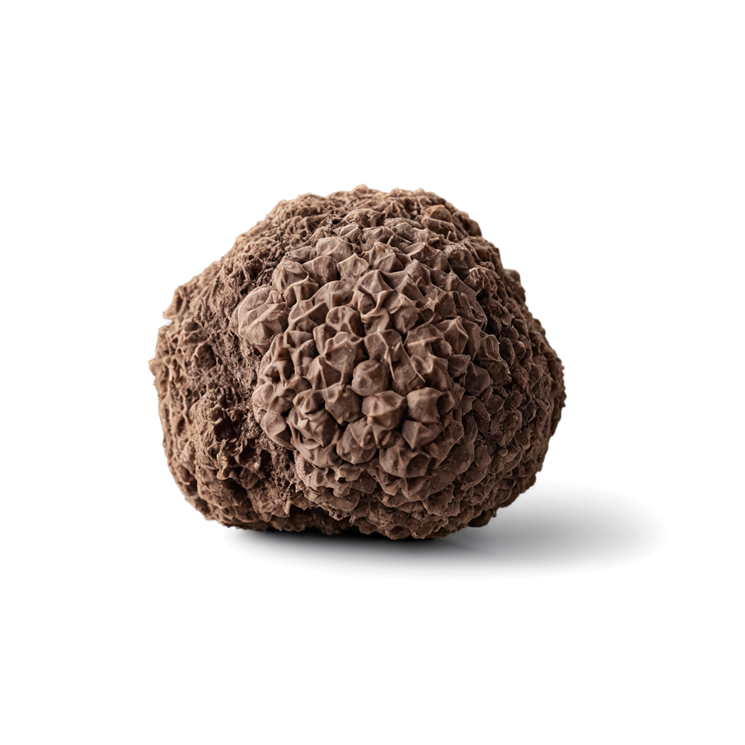 Truffles desserts isolated on transparent background #5803