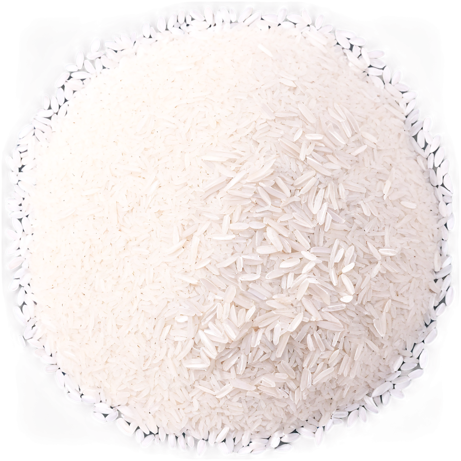 Rice grains isolated on transparent background #5853