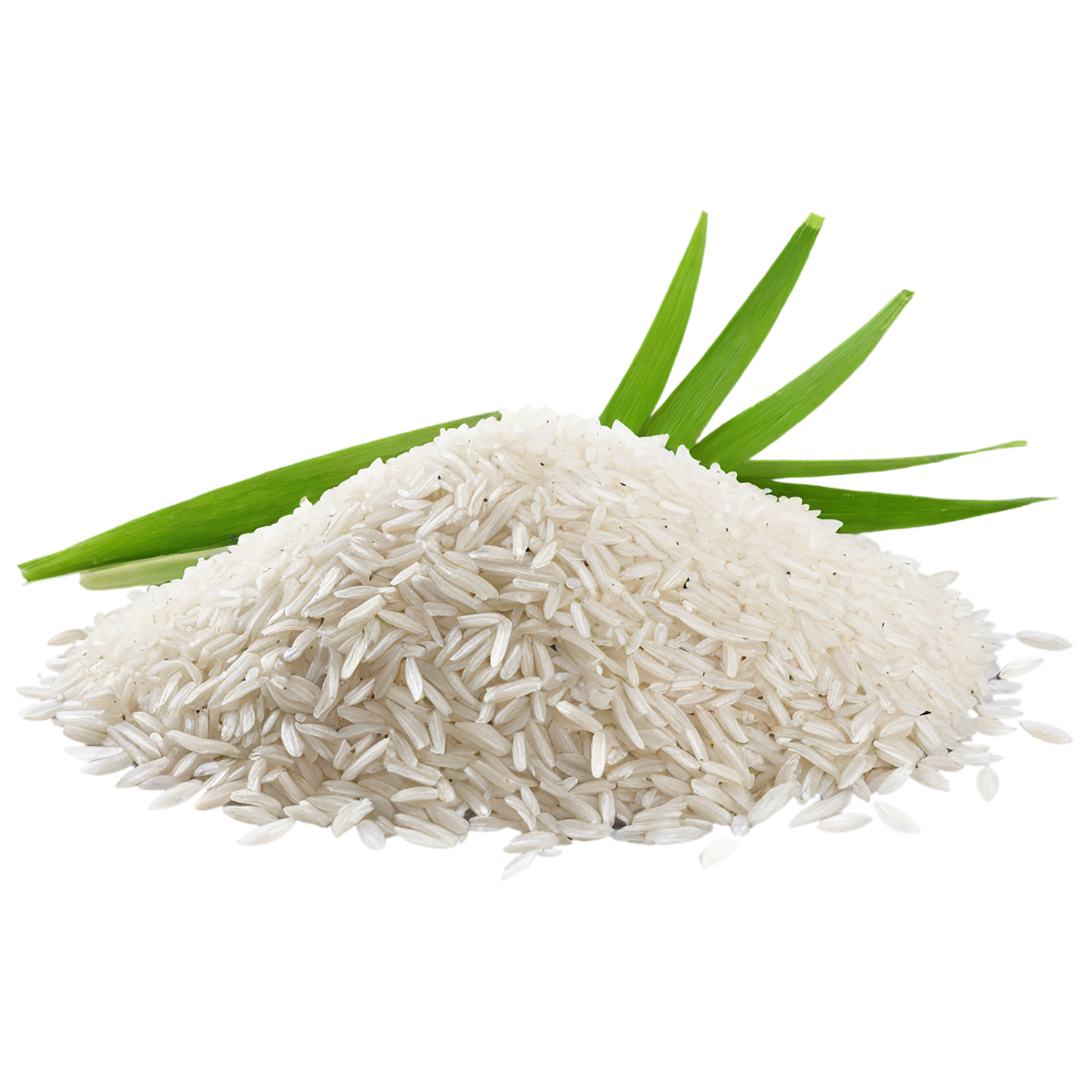 Rice grains isolated on transparent background #5861
