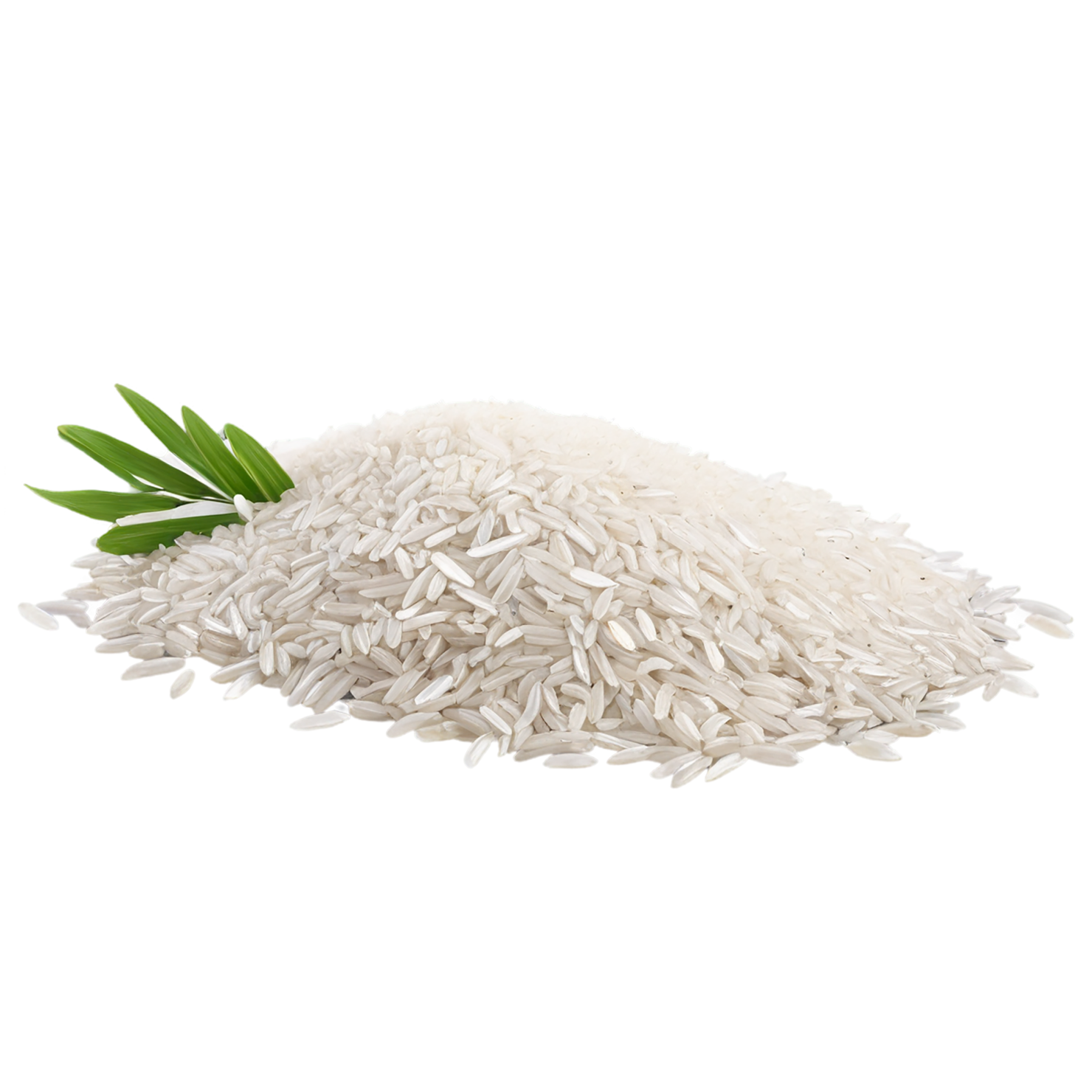 Rice grains isolated on transparent background #5918