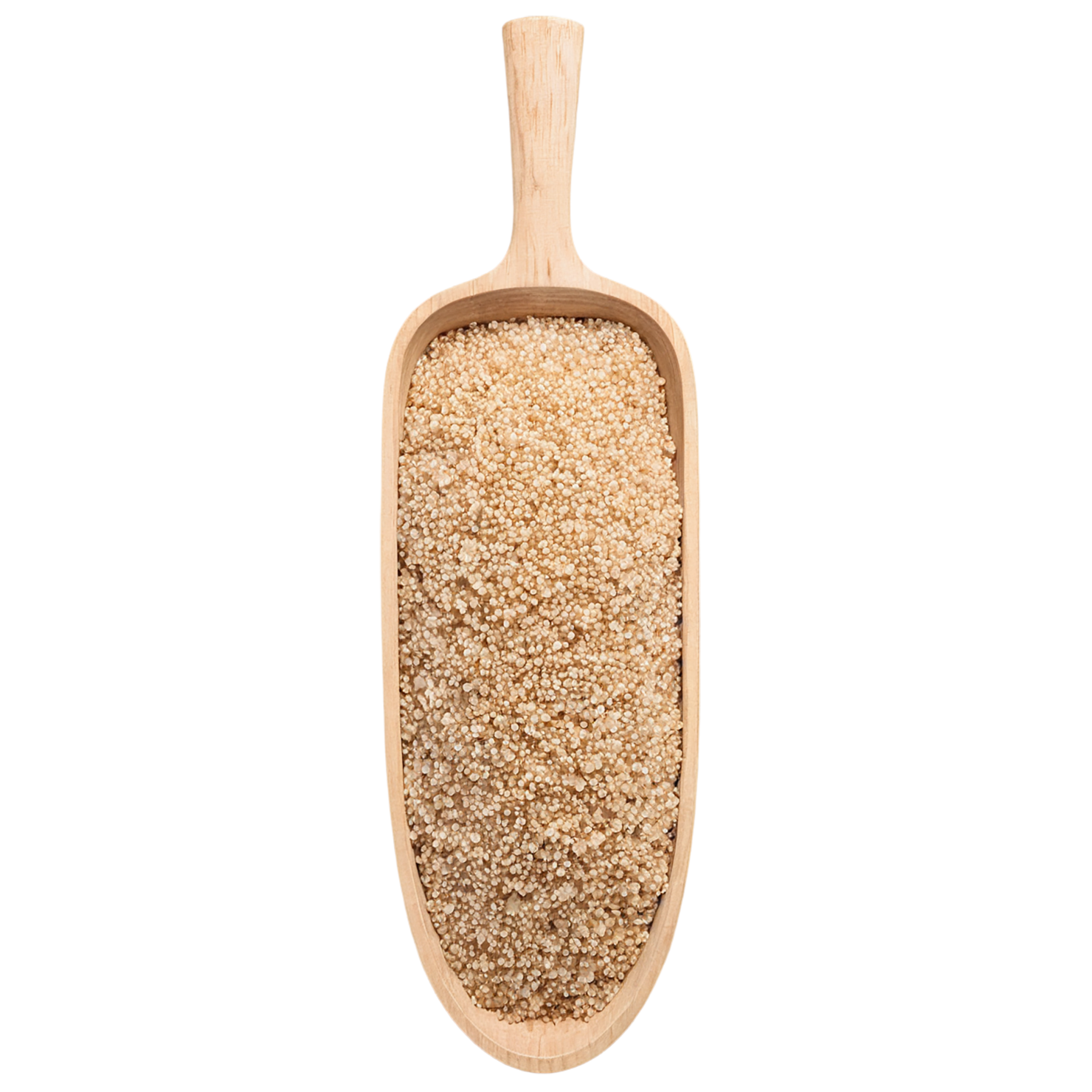 Quinoa grains isolated on transparent background #5922