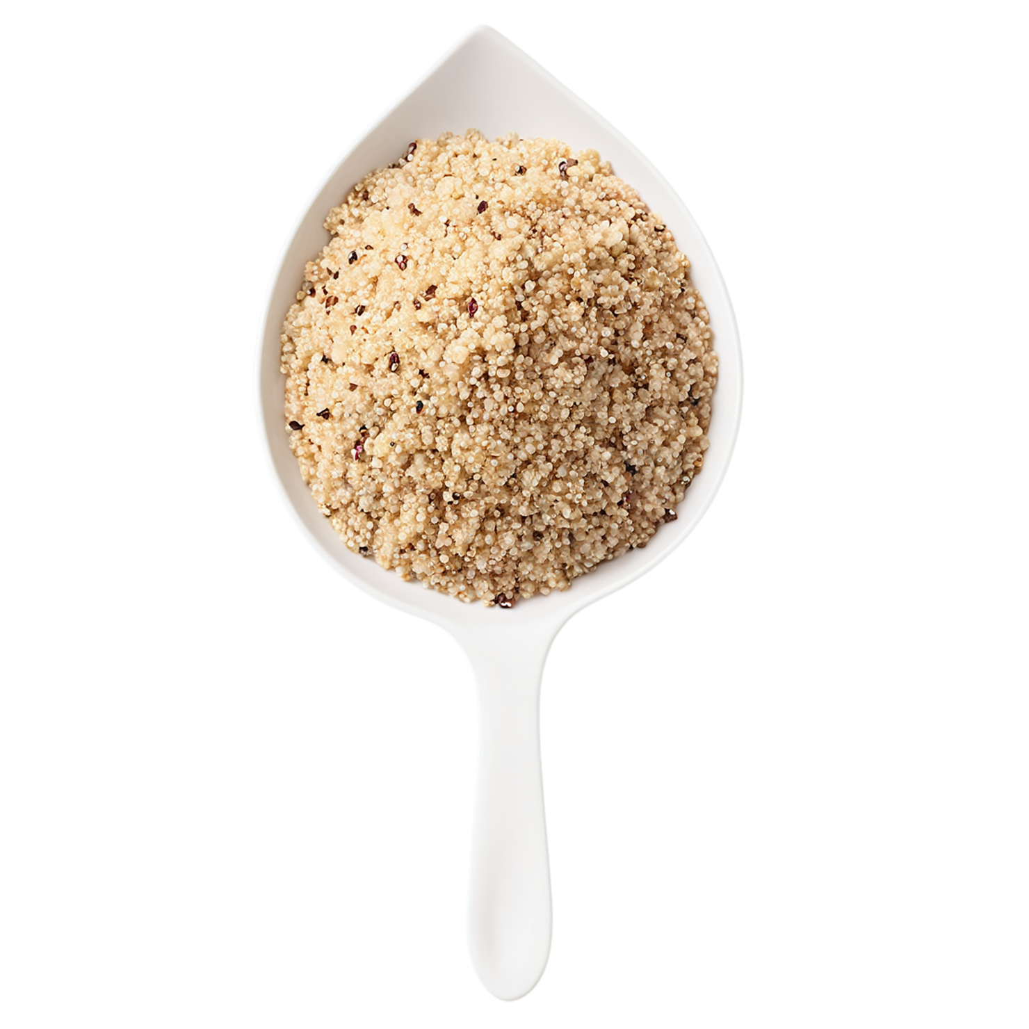 Quinoa grains isolated on transparent background #5956