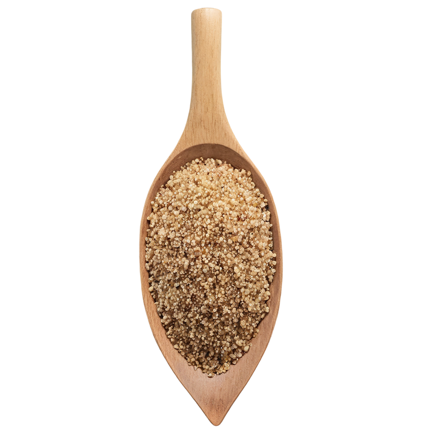 Quinoa grains isolated on transparent background #5966