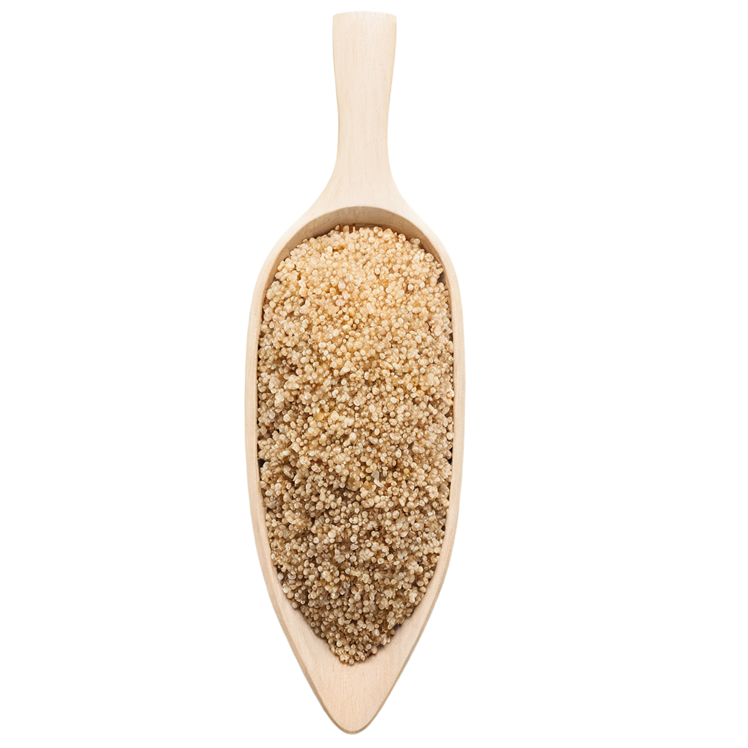 Quinoa grains isolated on transparent background #5973
