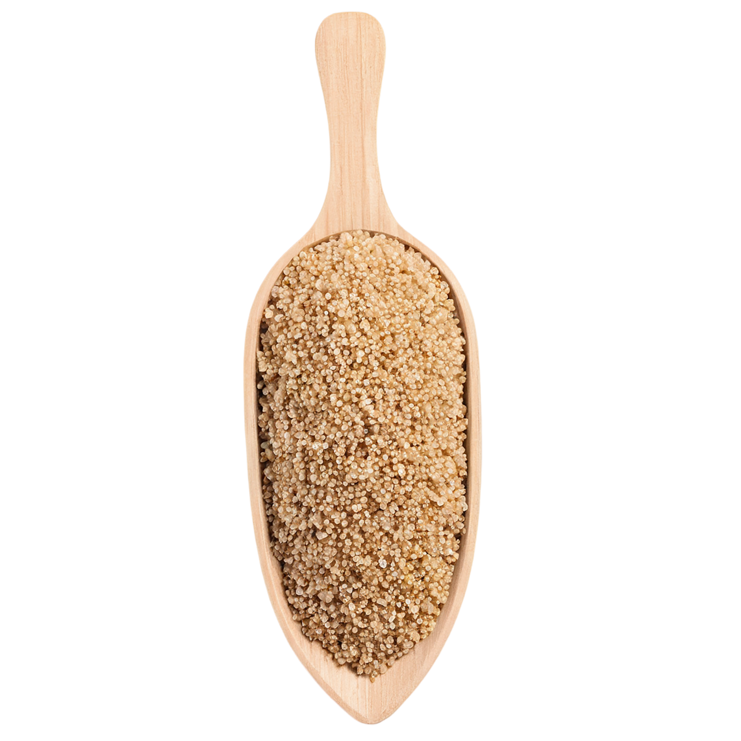 Quinoa grains isolated on transparent background #5982
