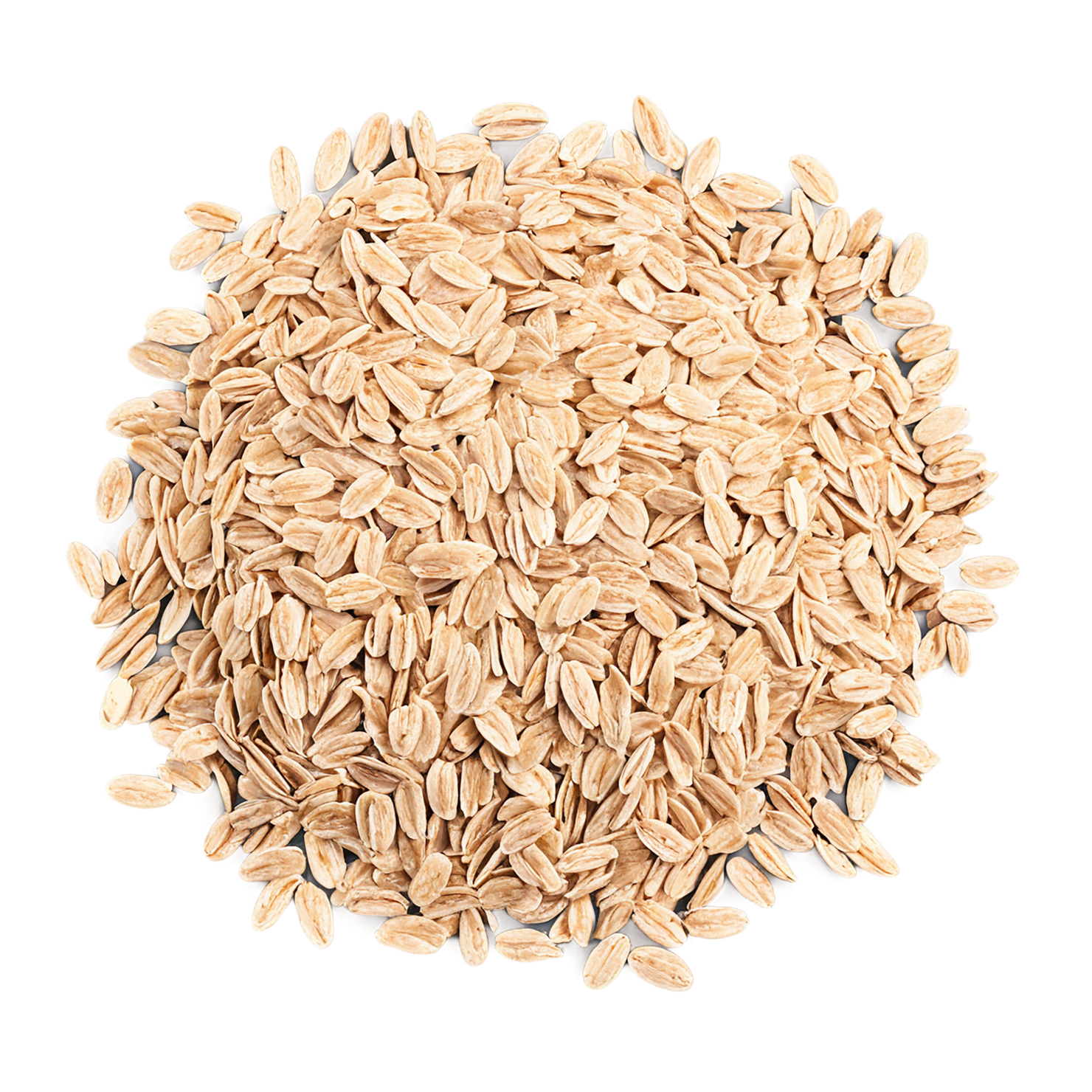 Oats grains isolated on transparent background #6037