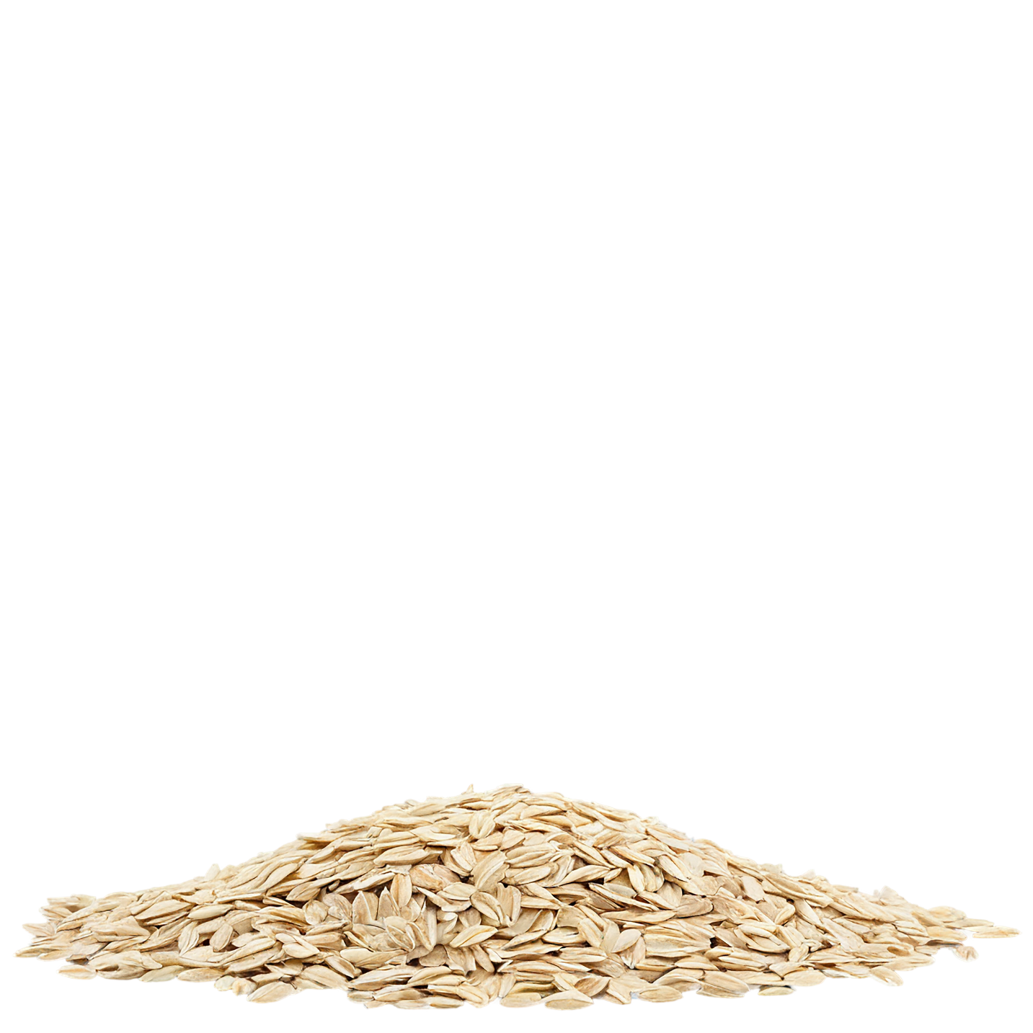 Oats grains isolated on transparent background #6051