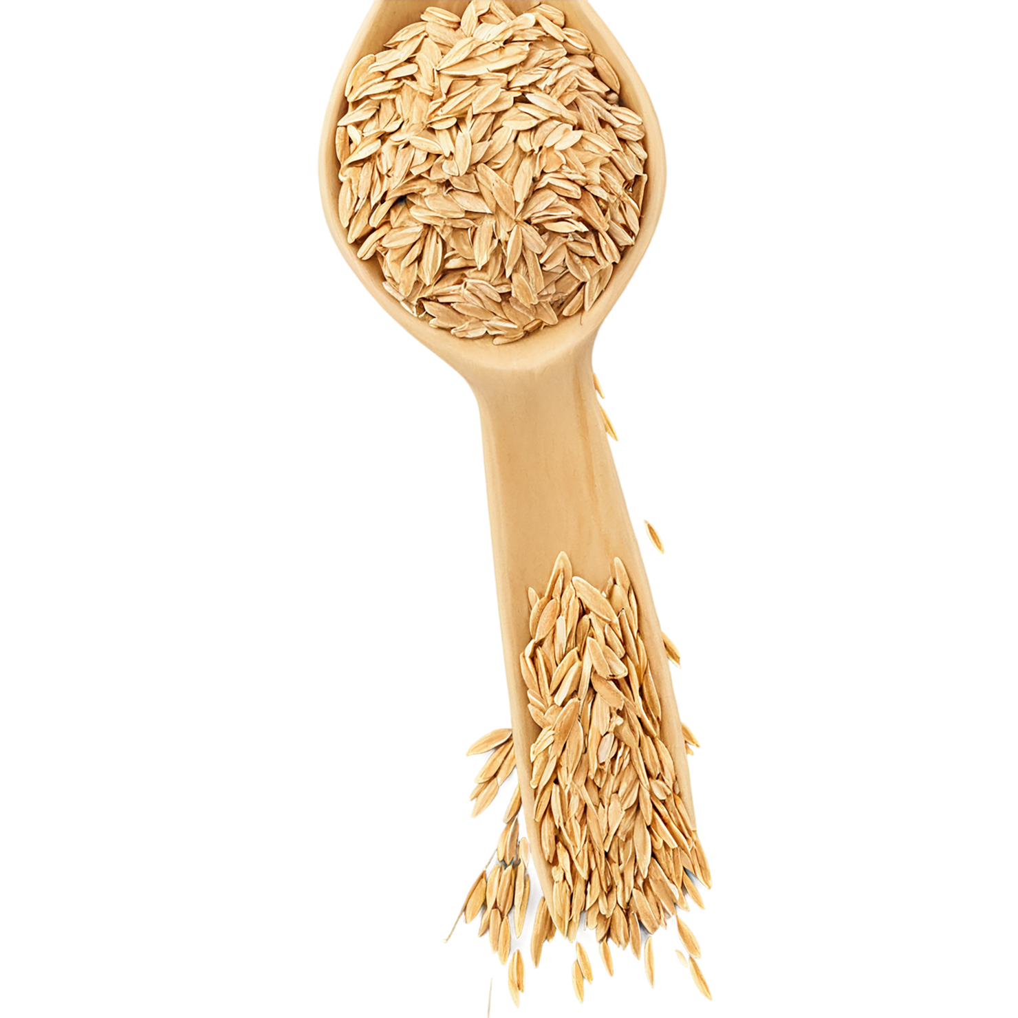 Oats grains isolated on transparent background #6062