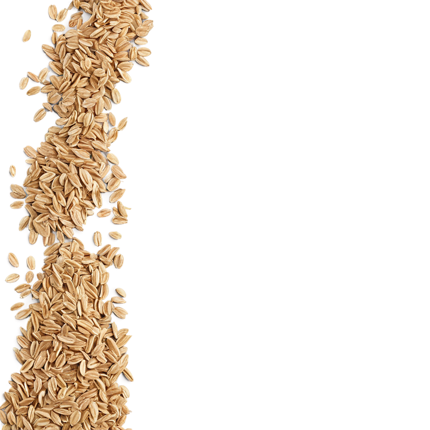 Oats grains isolated on transparent background #6074