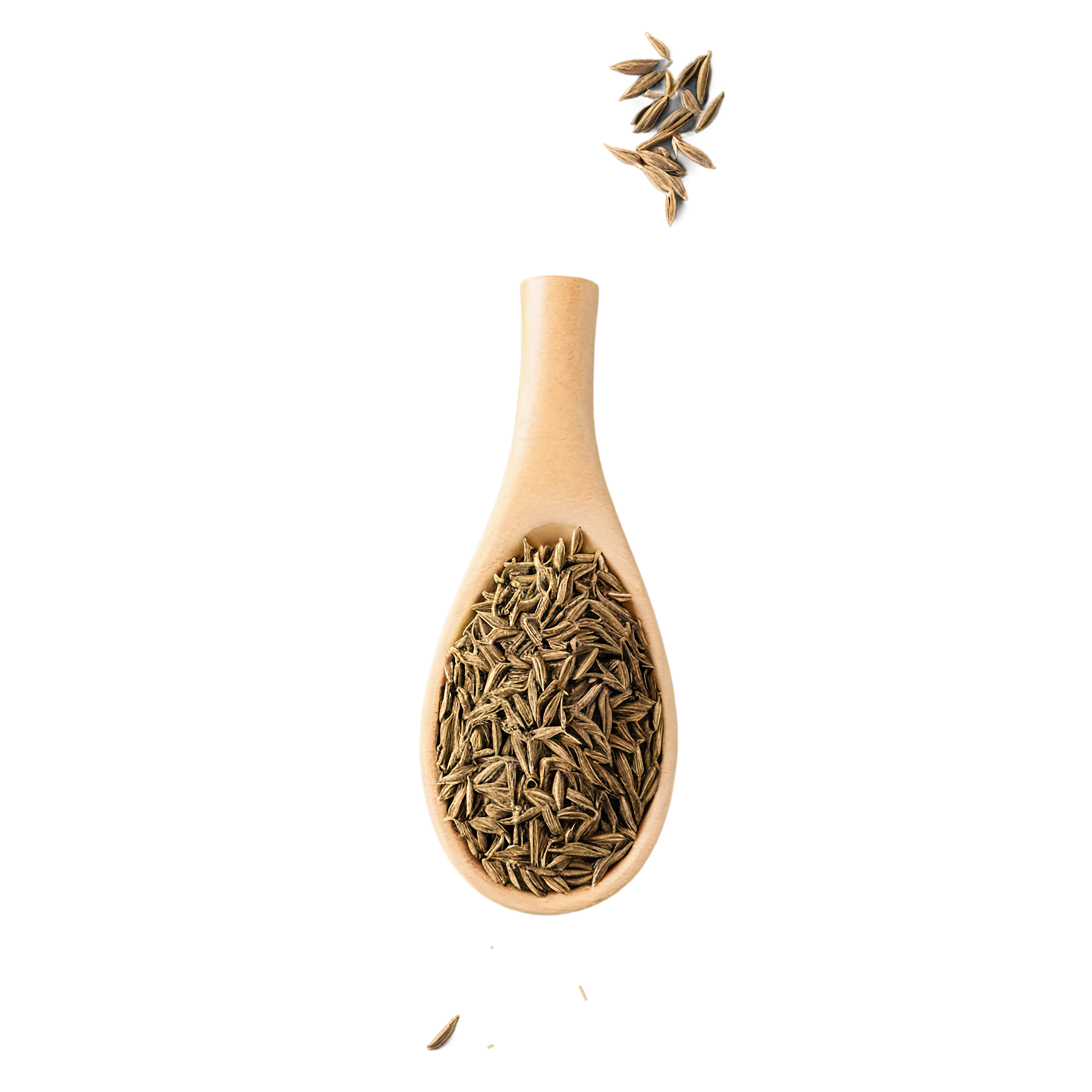 Cumin Herbs isolated on transparent background, #6914
