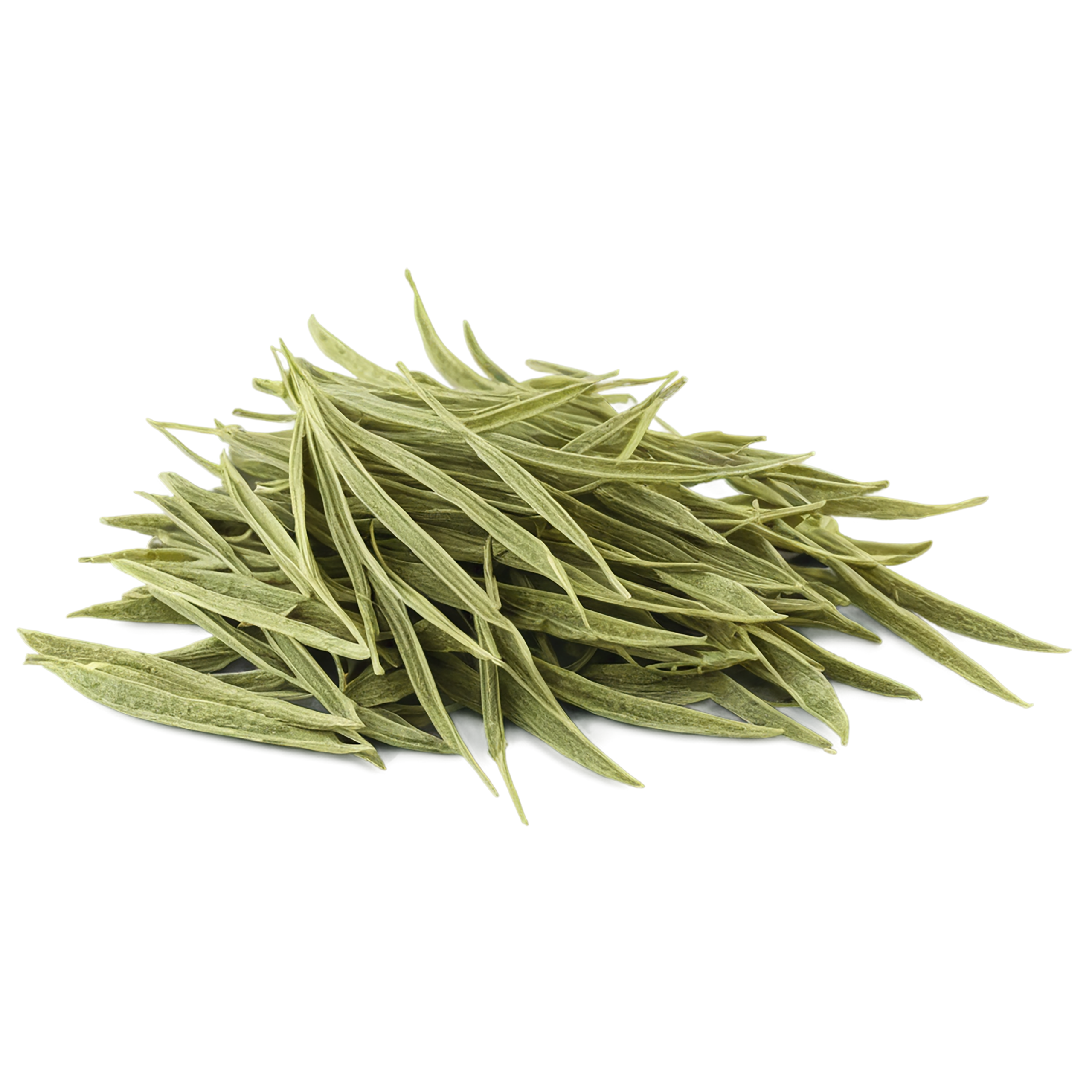 Cumin leaves Herbs isolated on transparent background, #6944