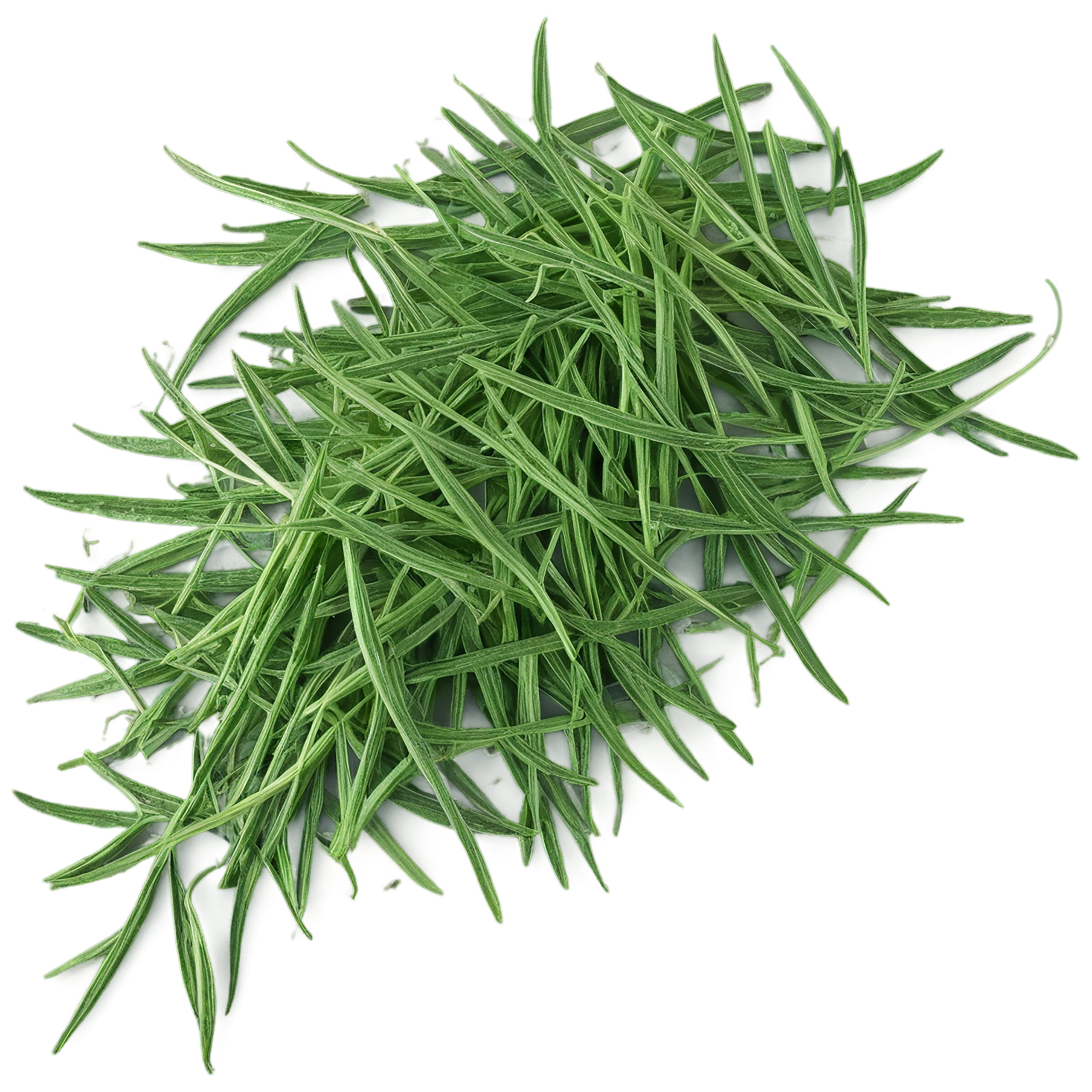 Cumin leaves Herbs isolated on transparent background, #6952