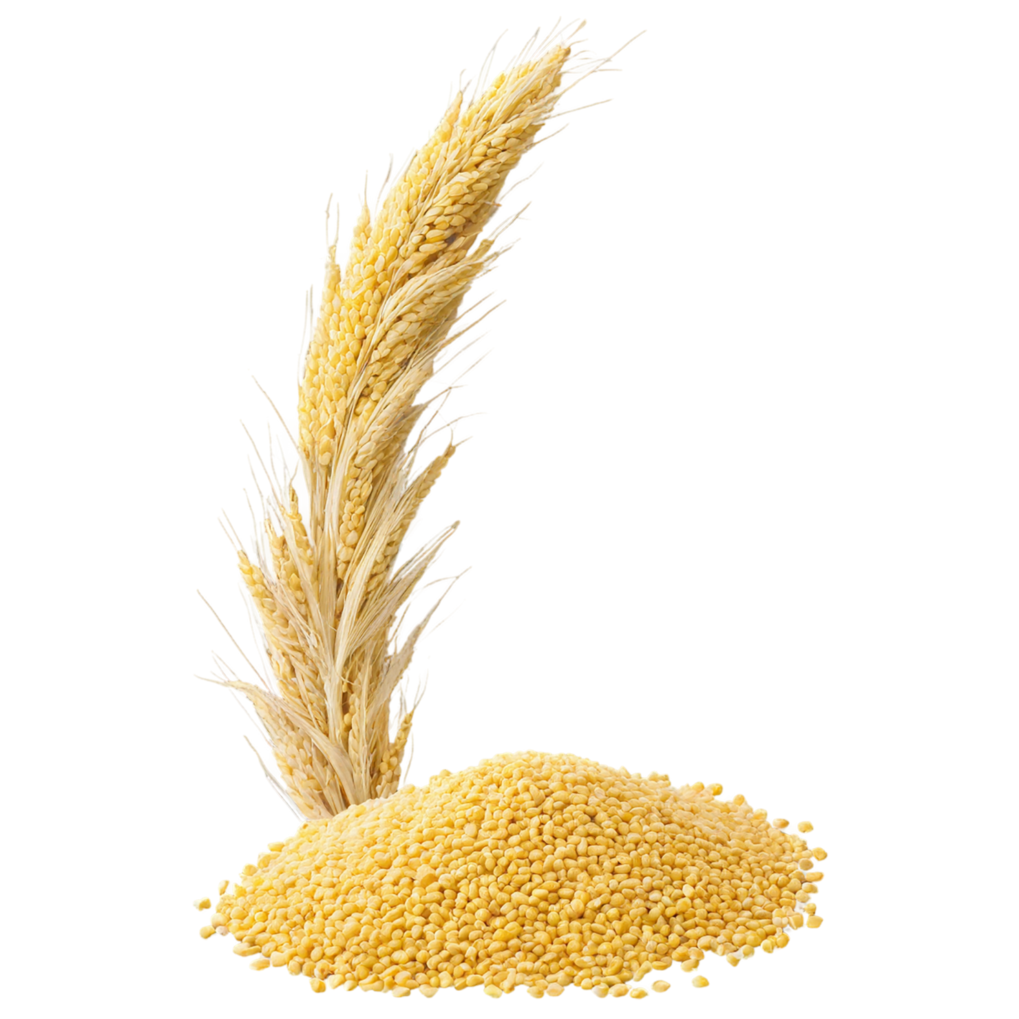 Millet grains isolated on transparent background, #6122