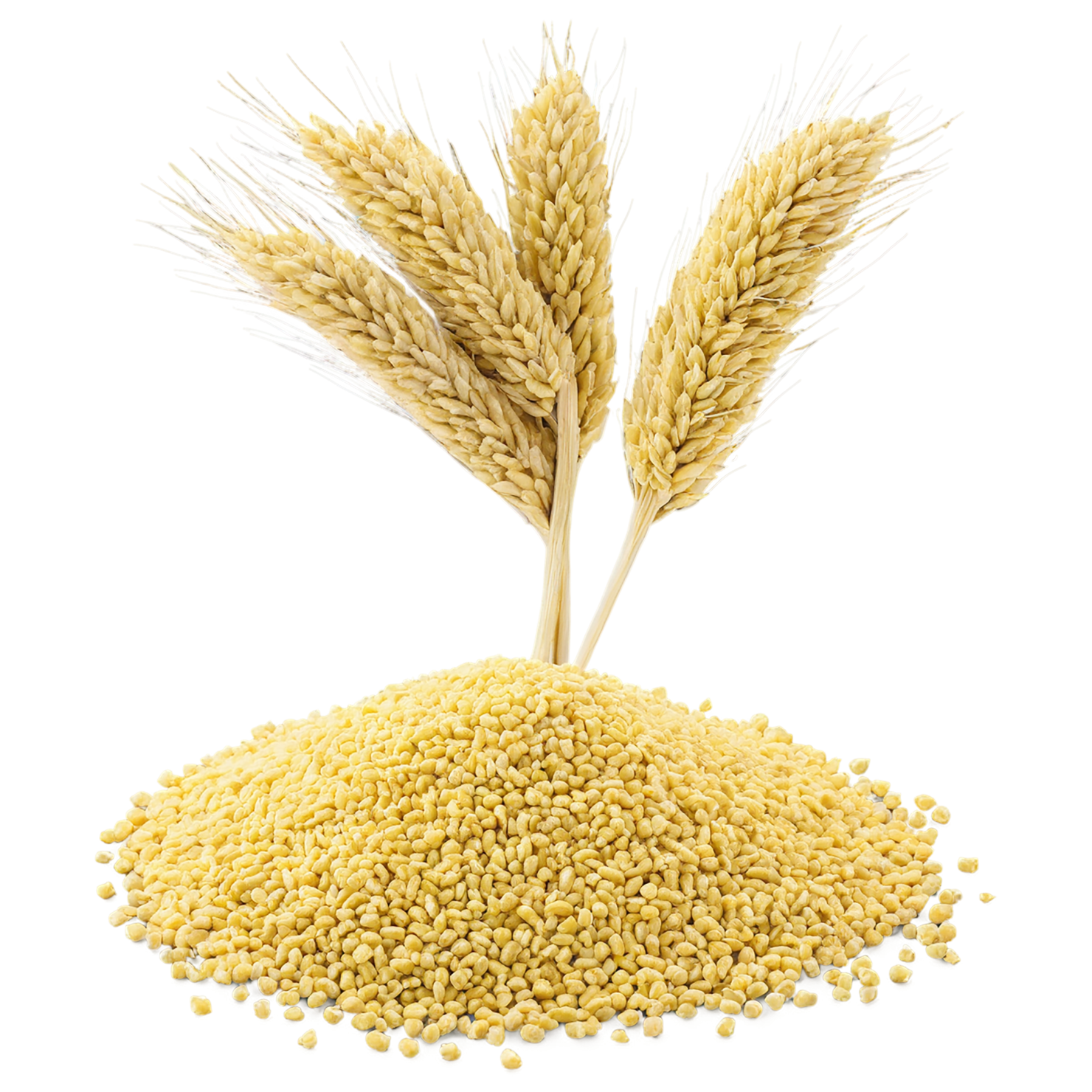 Millet grains isolated on transparent background, #6139