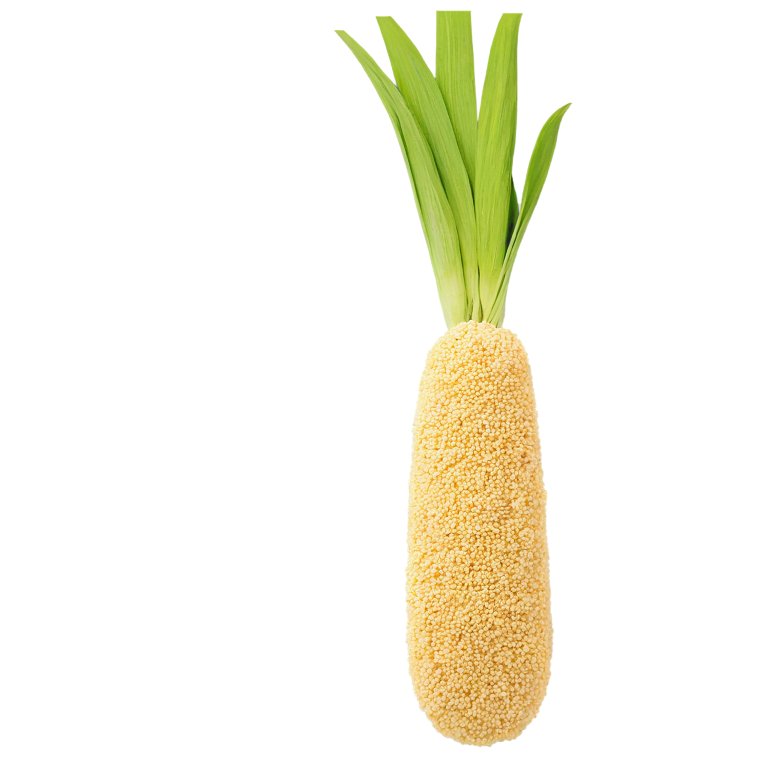 Millet grains isolated on transparent background, #6147