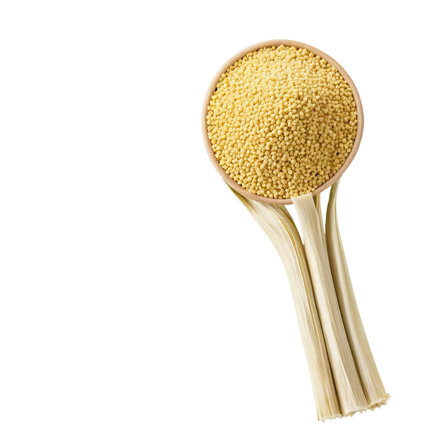 Millet grains isolated on transparent background, #6159