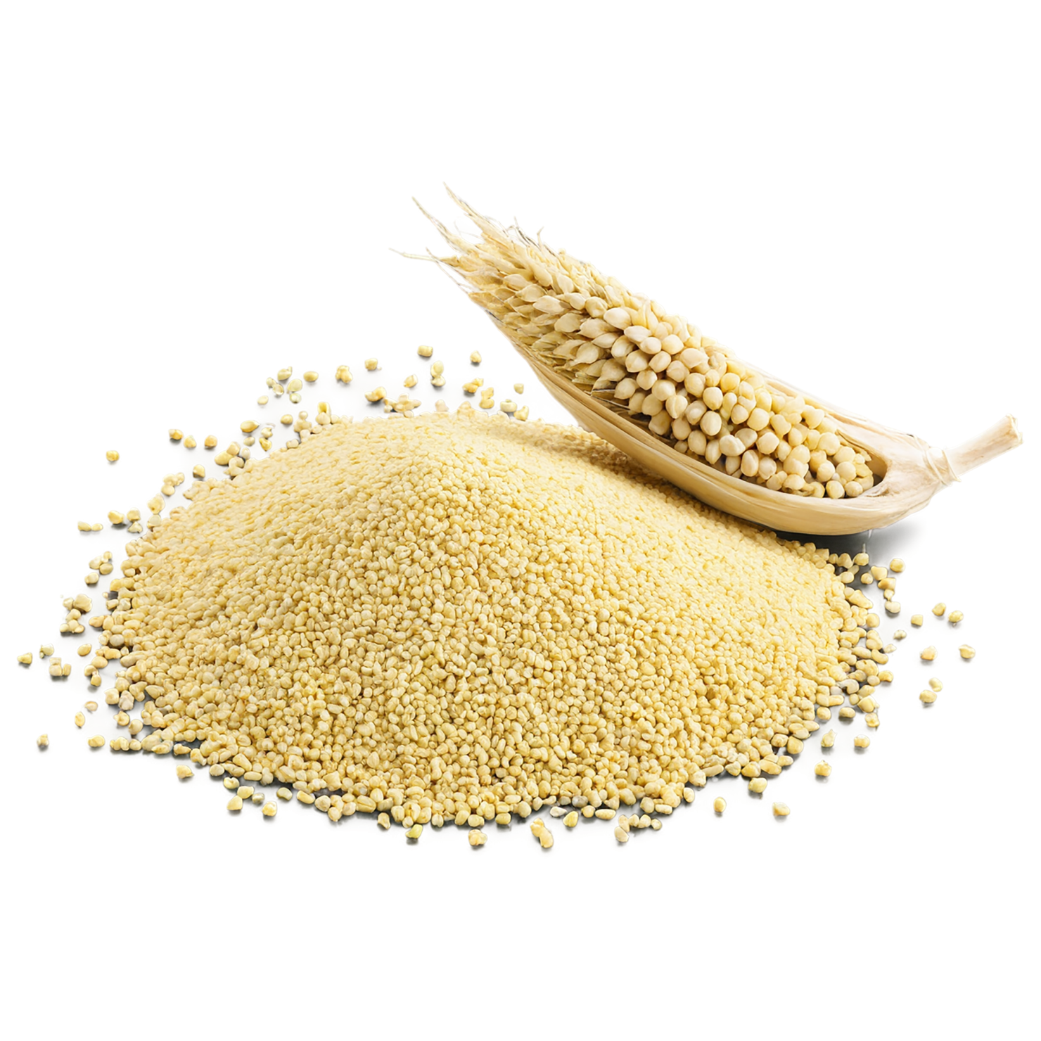 Millet grains isolated on transparent background, #6162