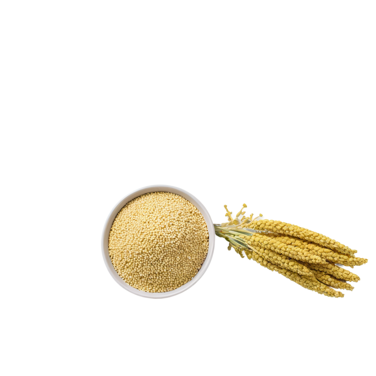 Millet grains isolated on transparent background, #6169