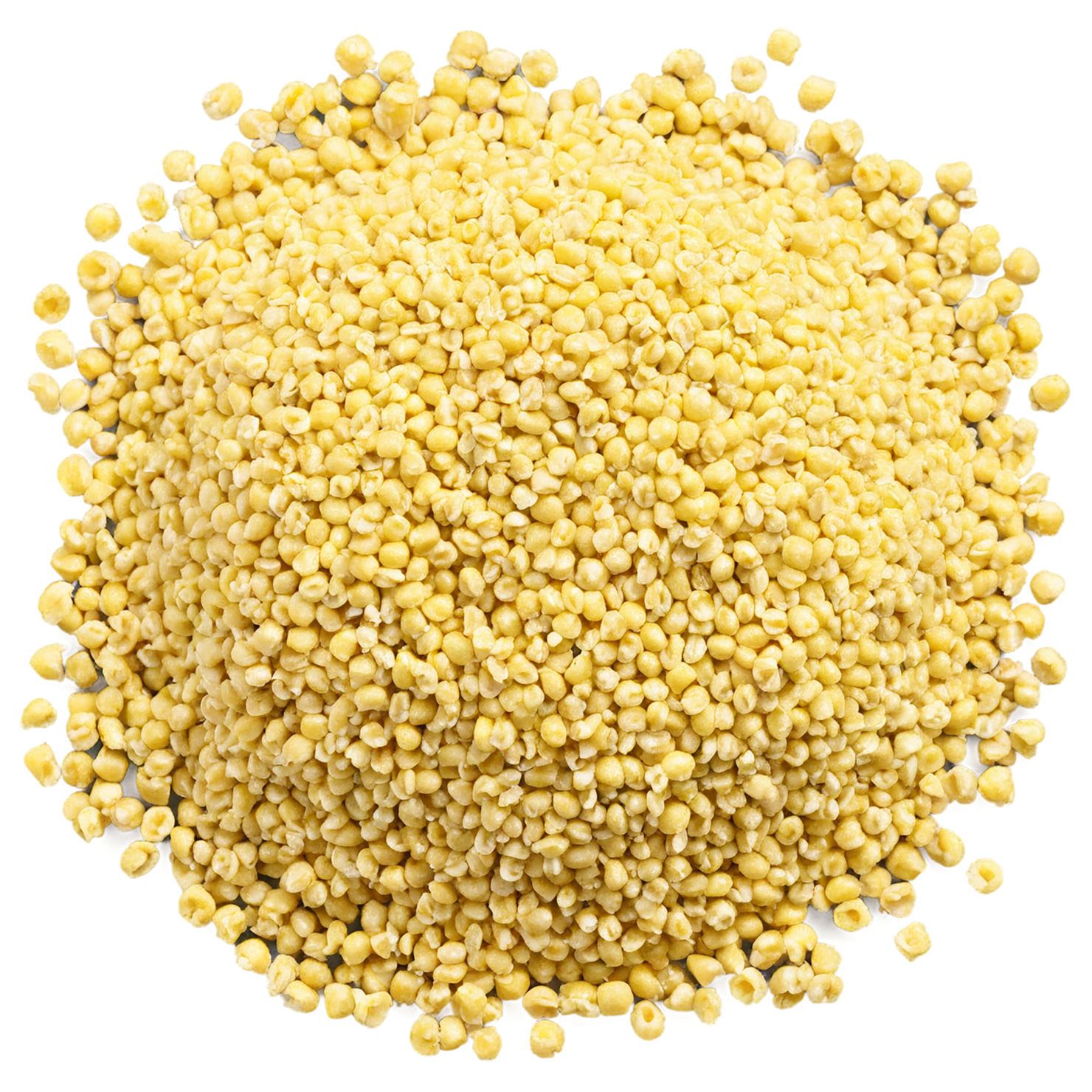 Millet grains isolated on transparent background, #6171