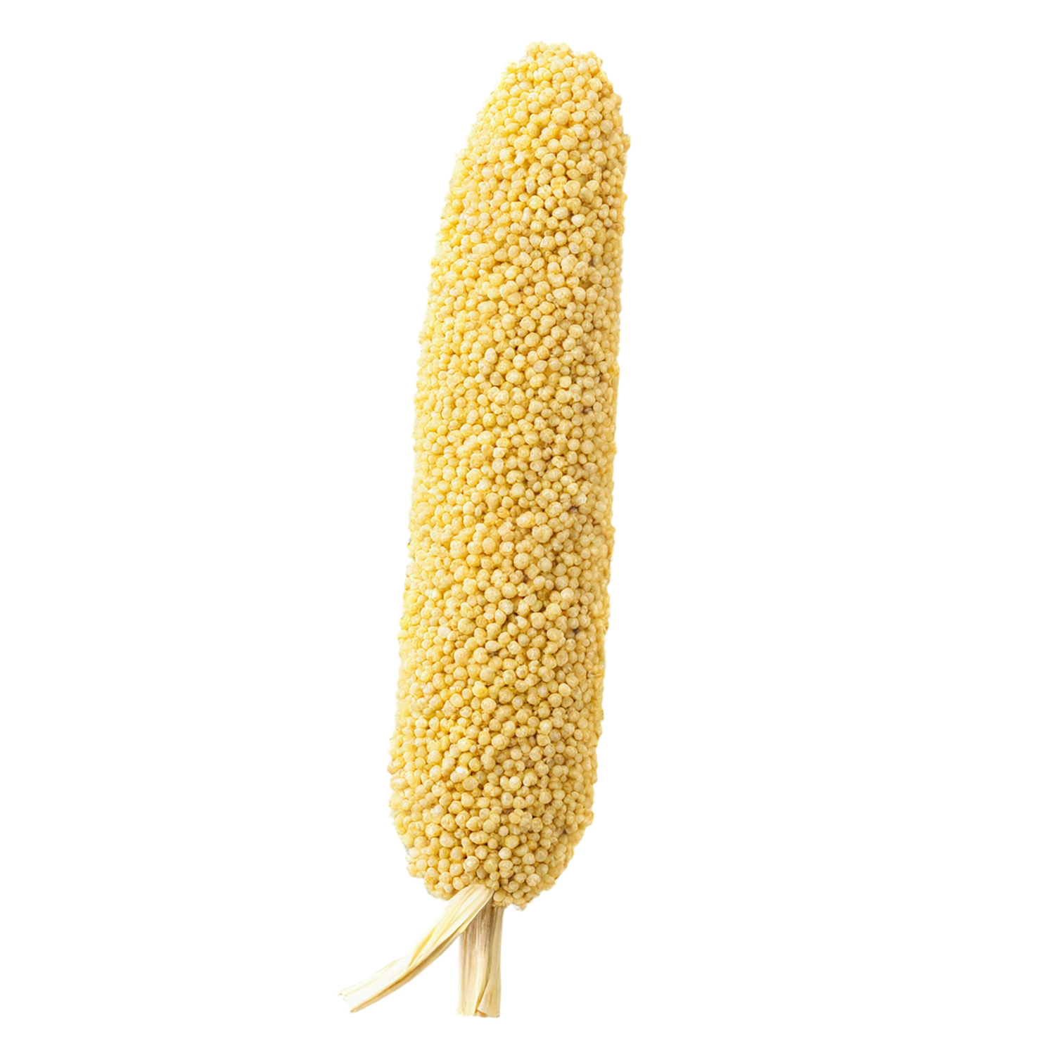 Millet grains isolated on transparent background, #6183