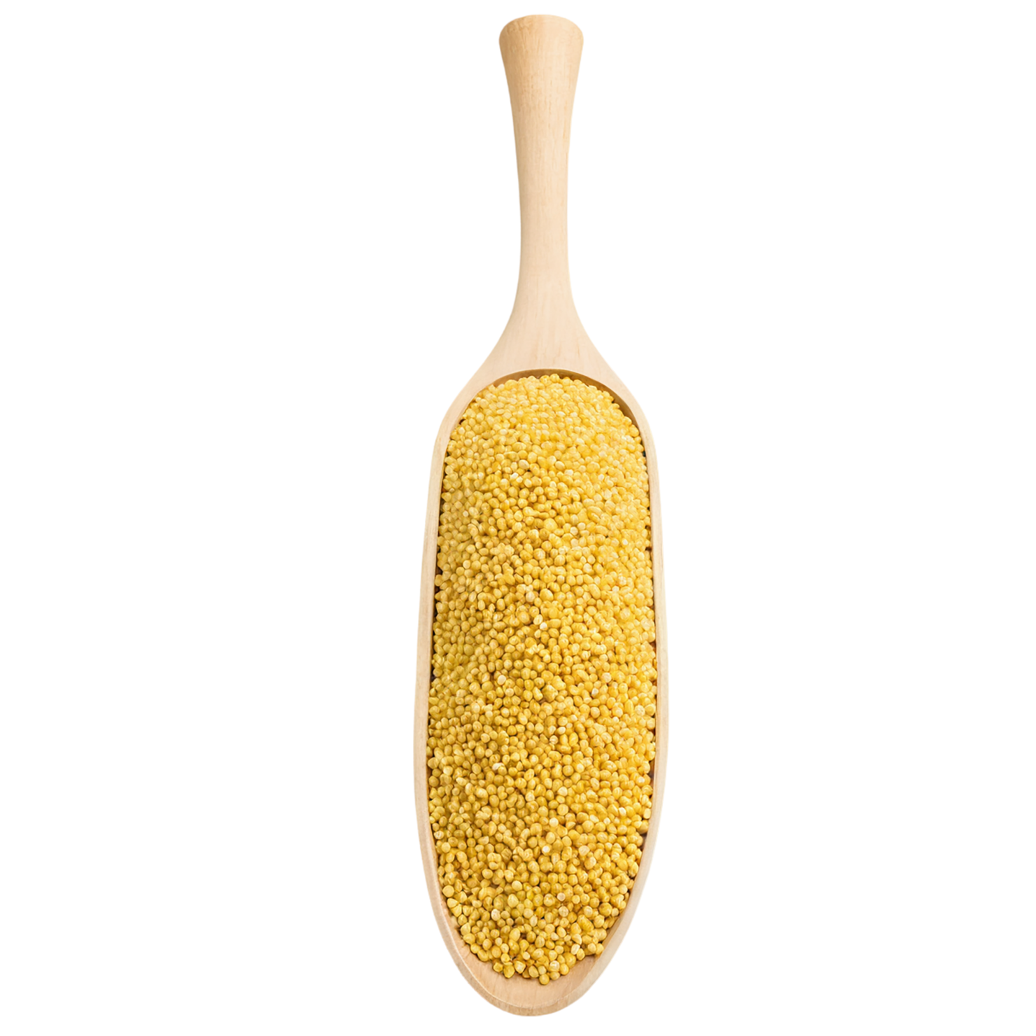 Millet grains isolated on transparent background, #6190