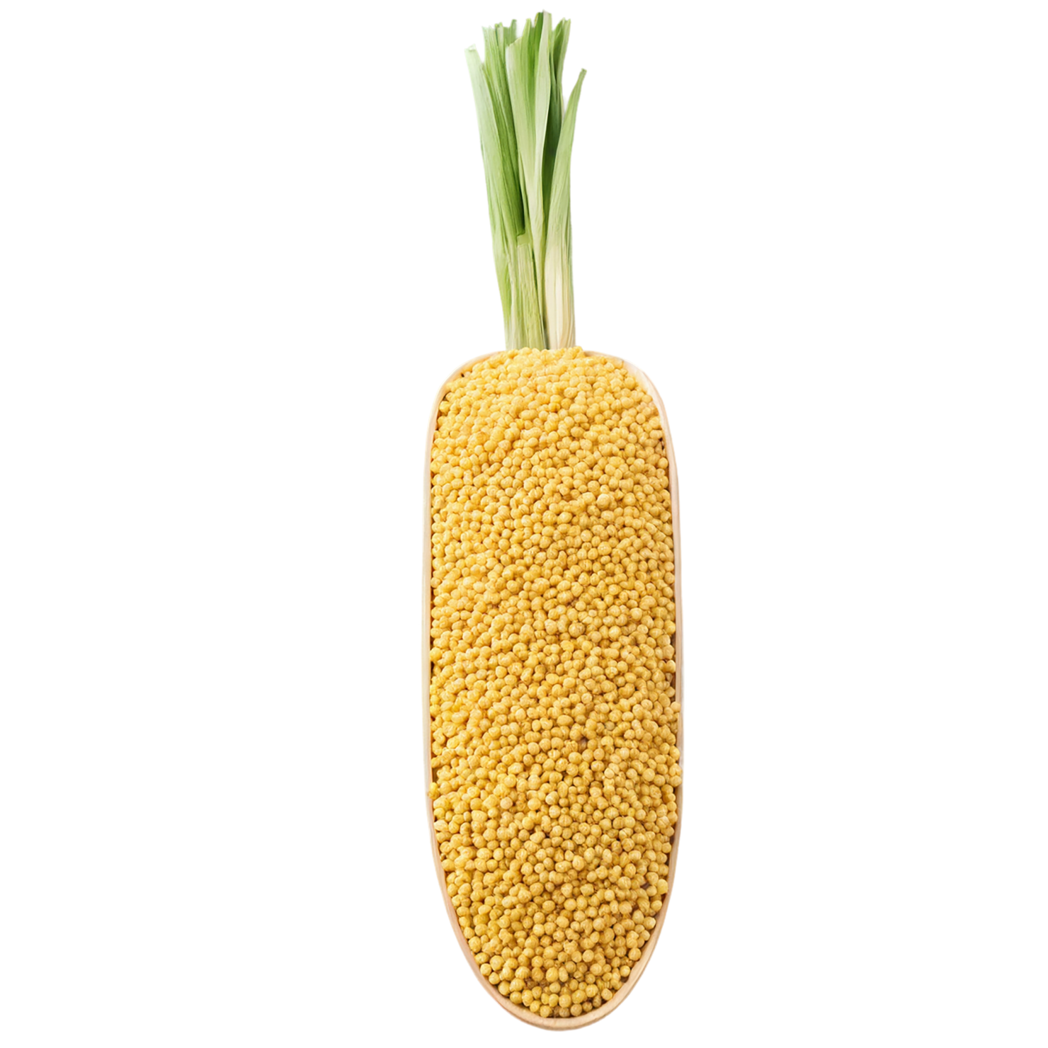 Millet grains isolated on transparent background, #6203