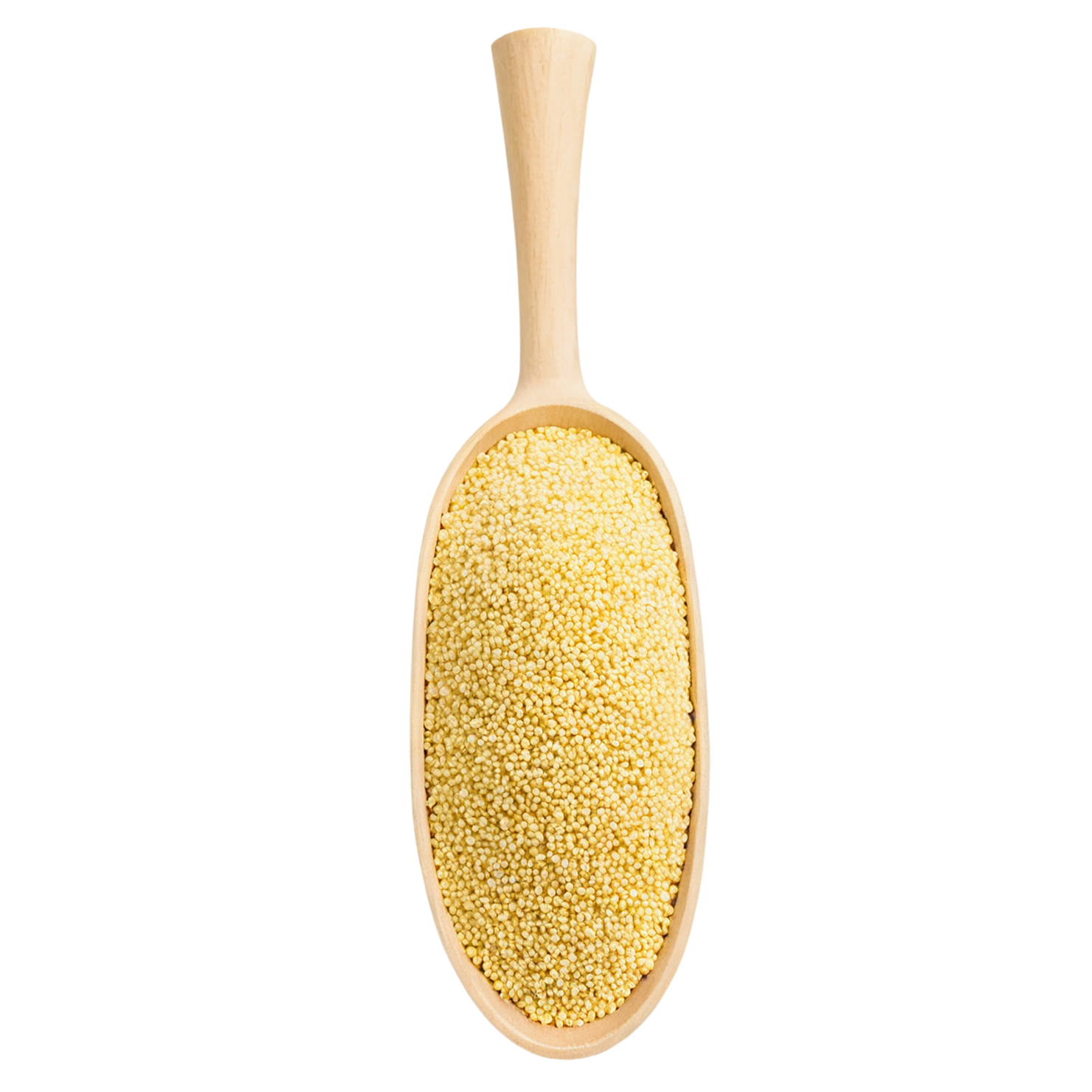 Millet grains isolated on transparent background, #6205