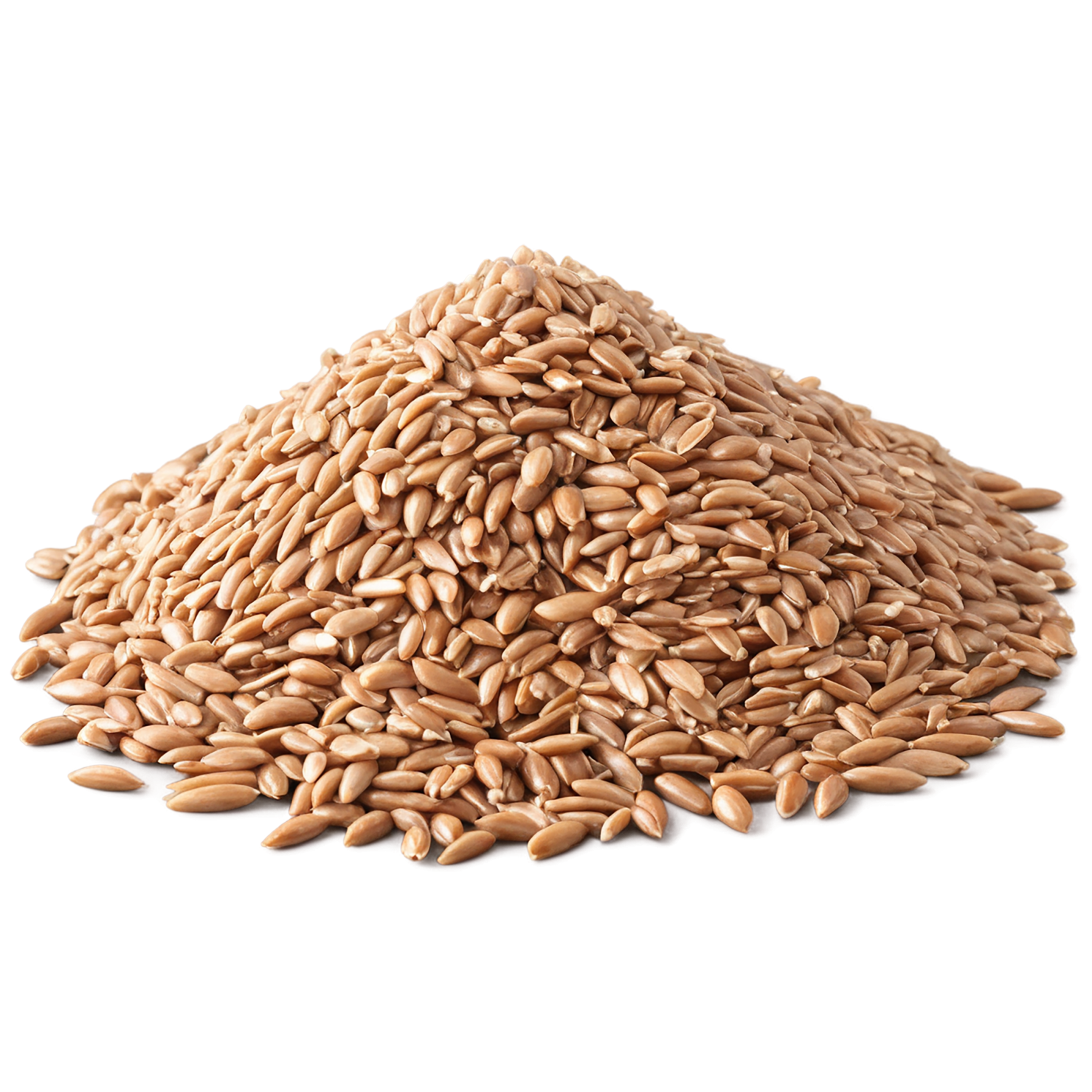 farro grains isolated on transparent background, #6206