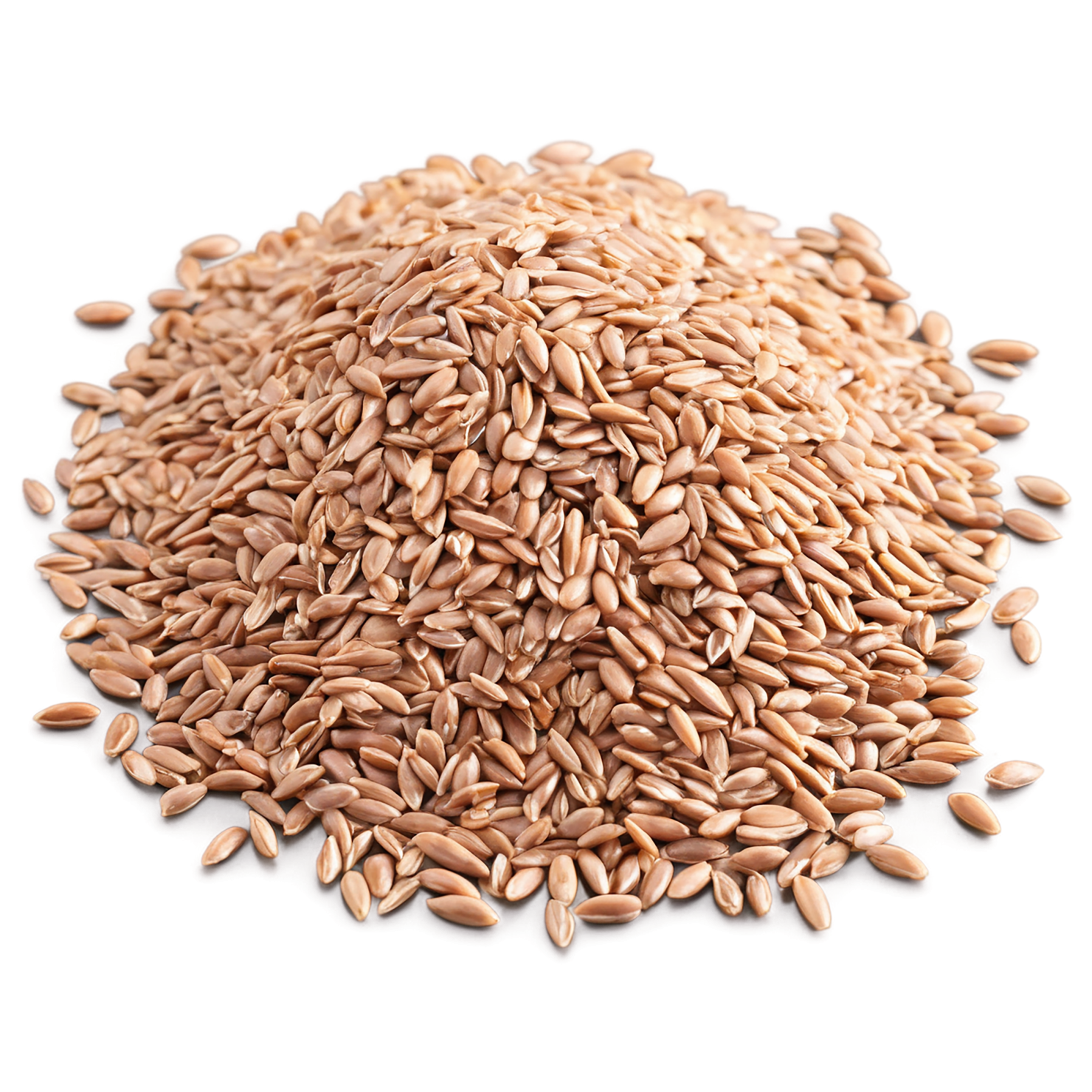farro grains isolated on transparent background, #6209