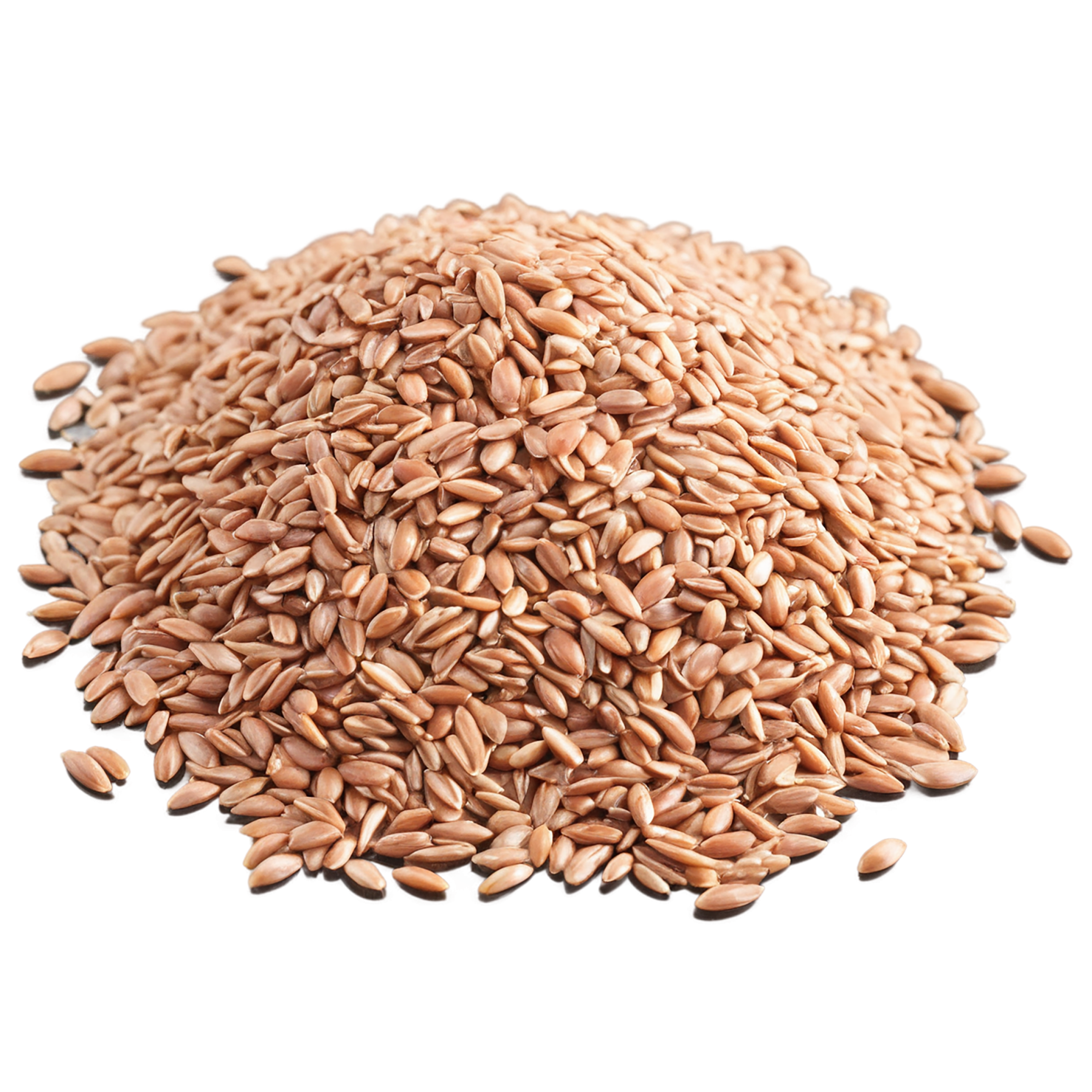 farro grains isolated on transparent background, #6210