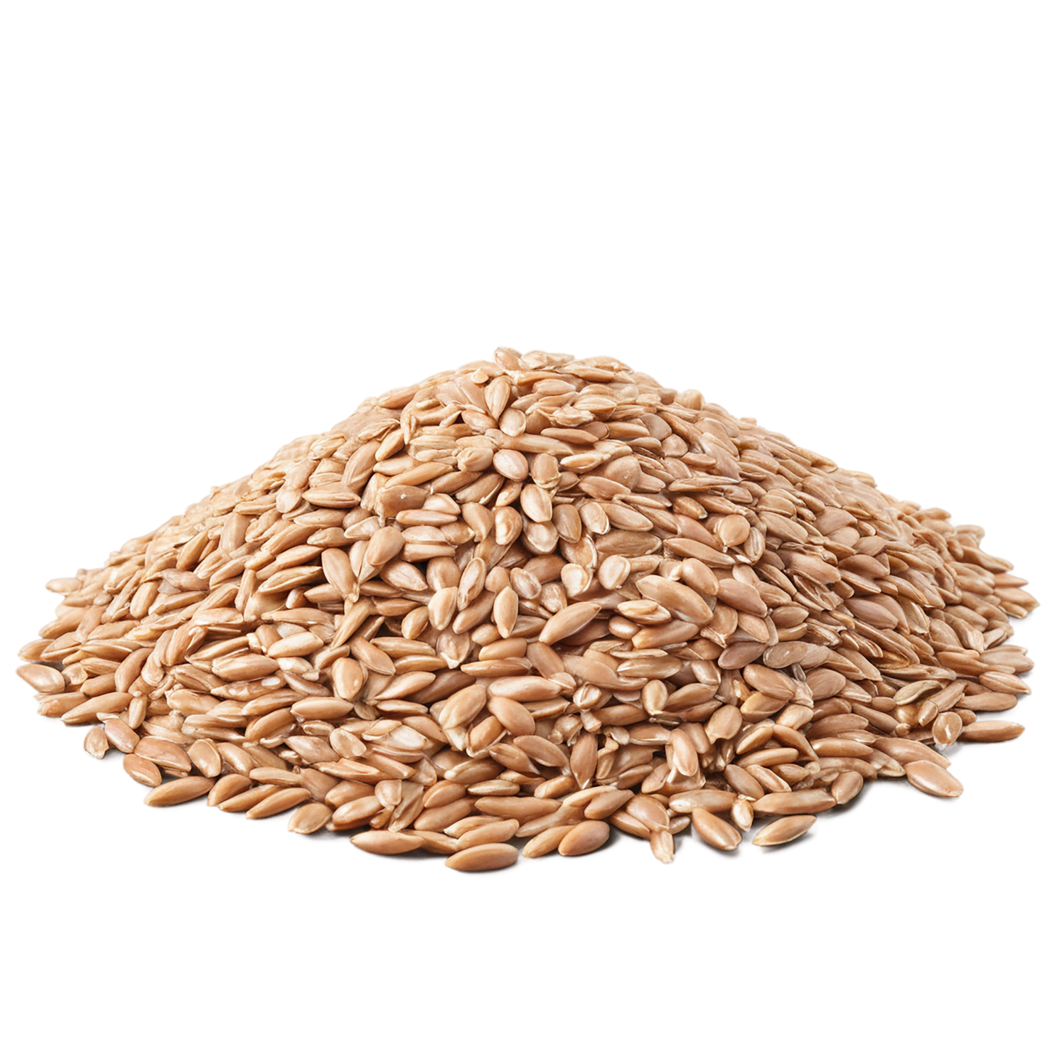 farro grains isolated on transparent background, #6212