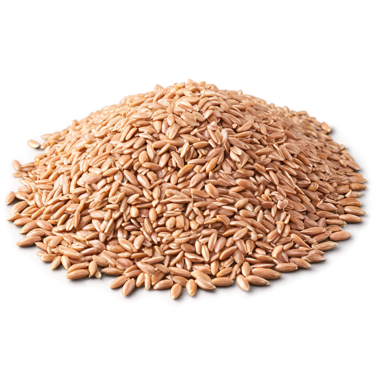 farro grains isolated on transparent background, #6213