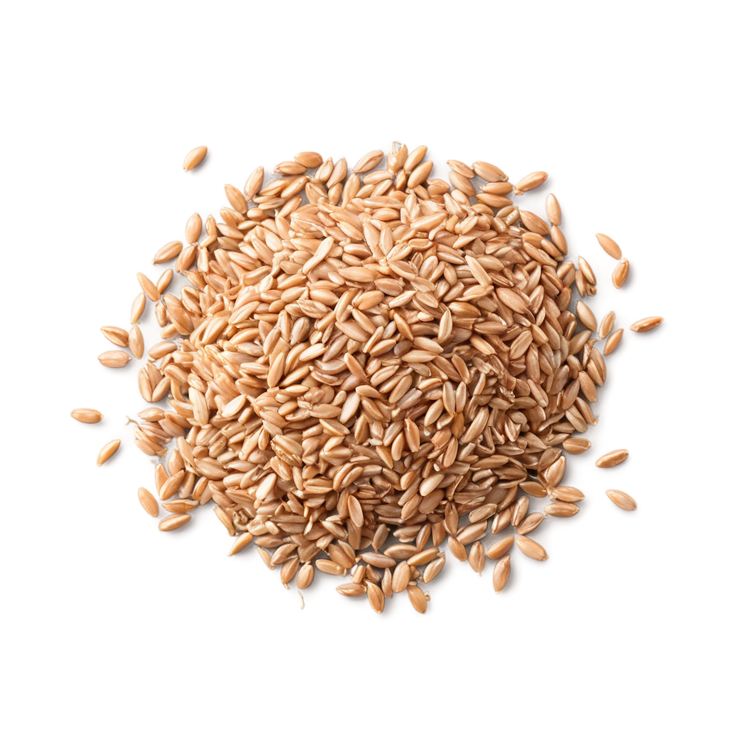 farro grains isolated on transparent background, #6218