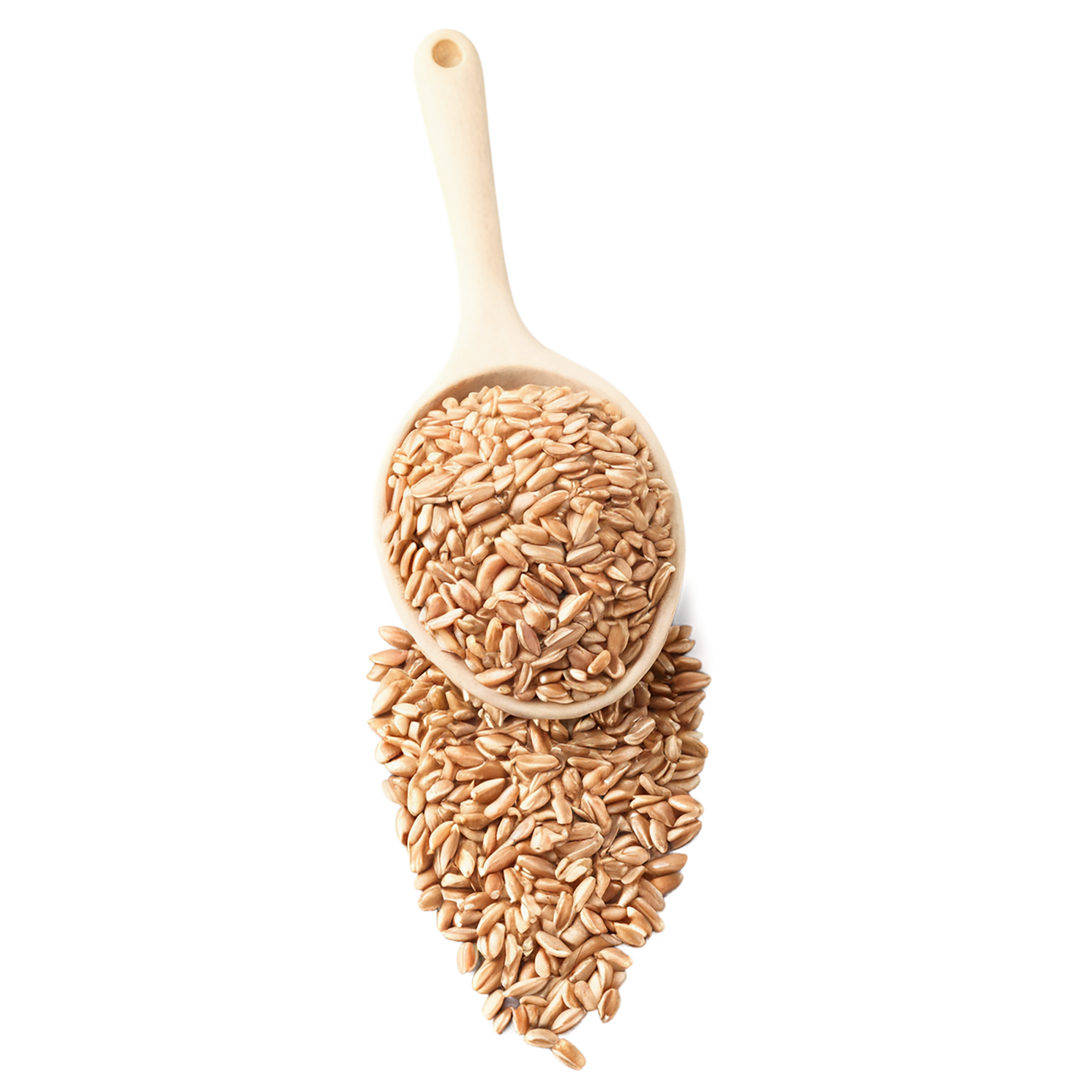farro grains isolated on transparent background, #6219