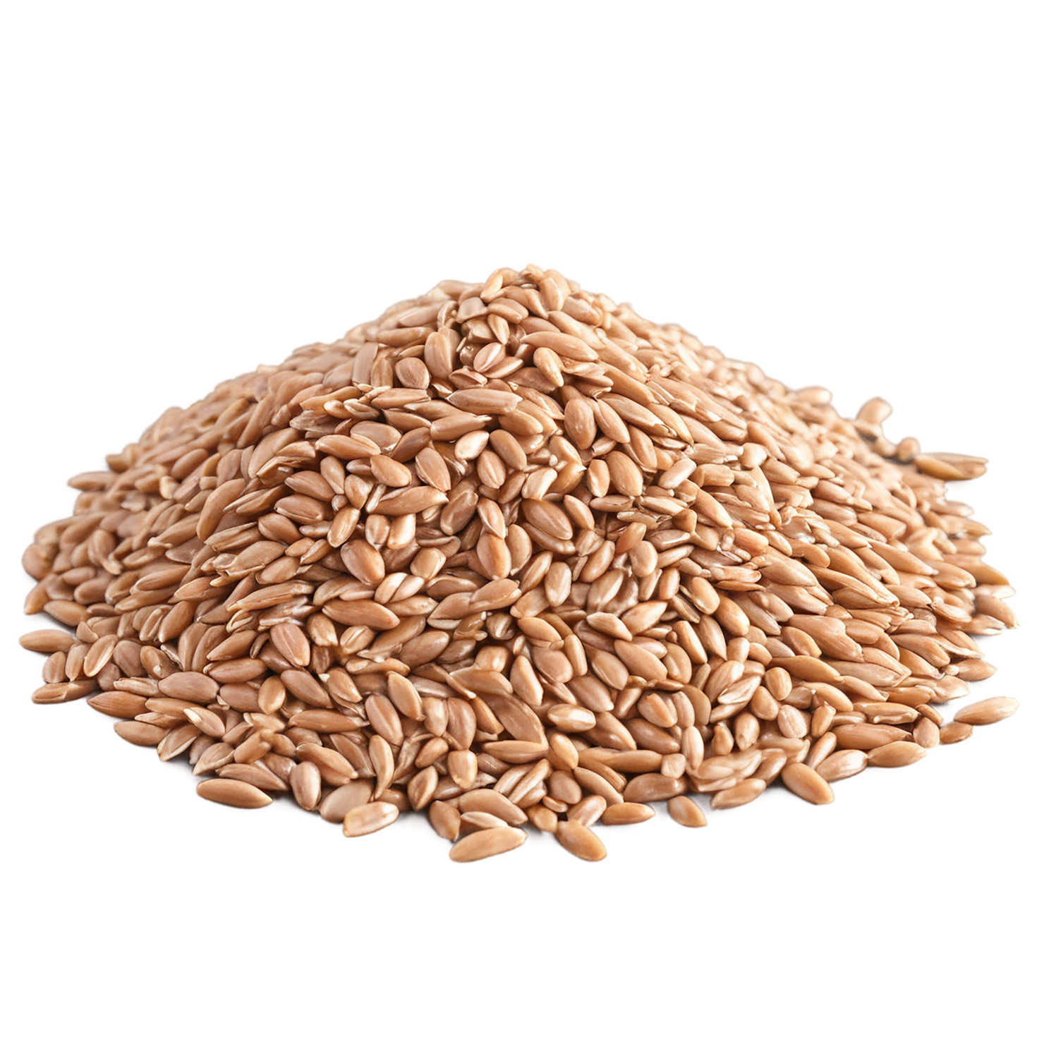 farro grains isolated on transparent background, #6220