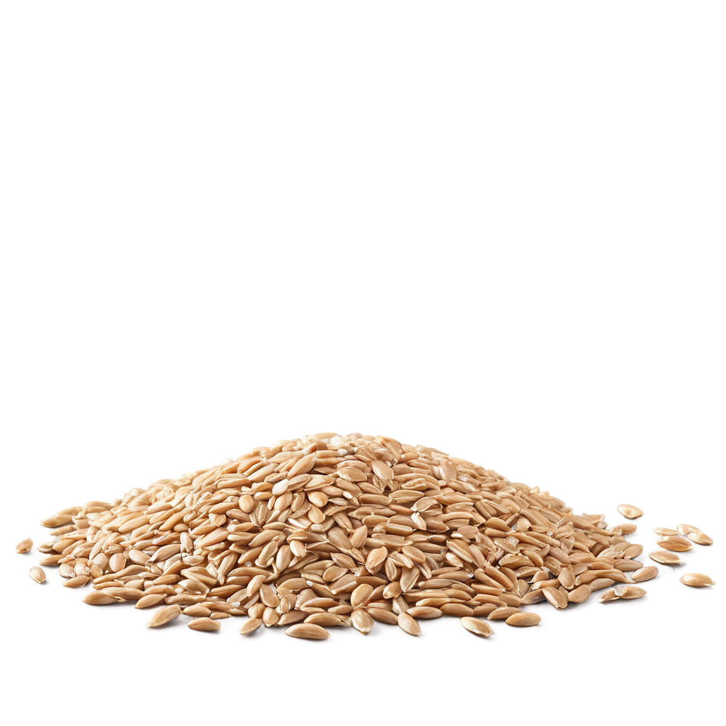 farro grains isolated on transparent background, #6221