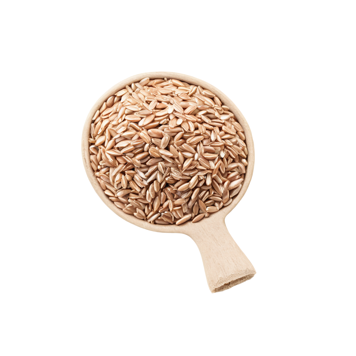 farro grains isolated on transparent background, #6224