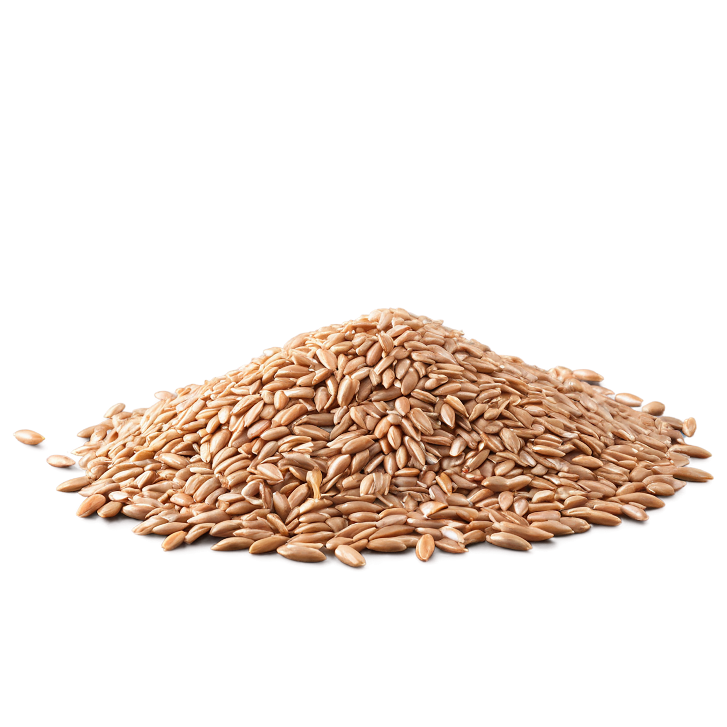 farro grains isolated on transparent background, #6226