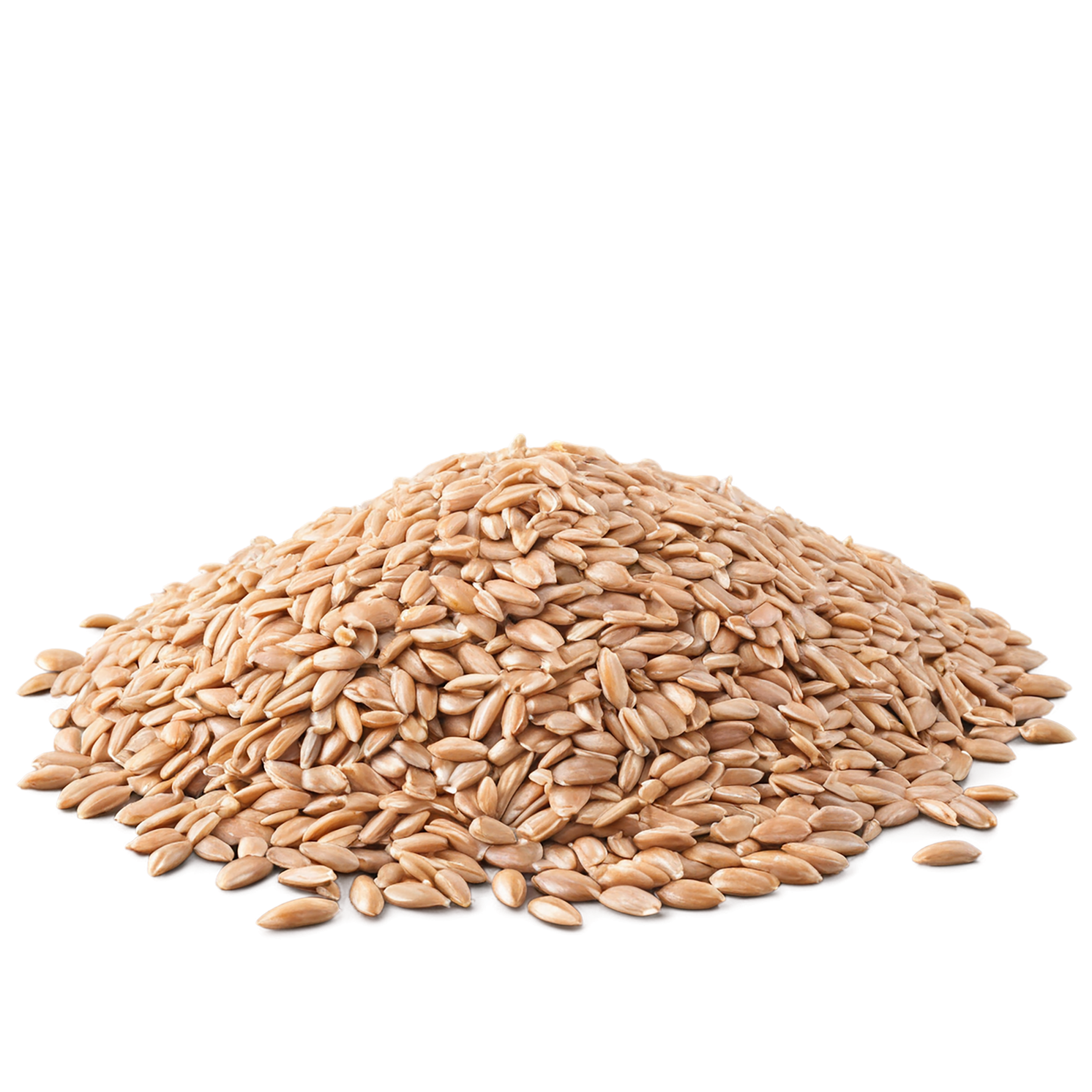 farro grains isolated on transparent background, #6227