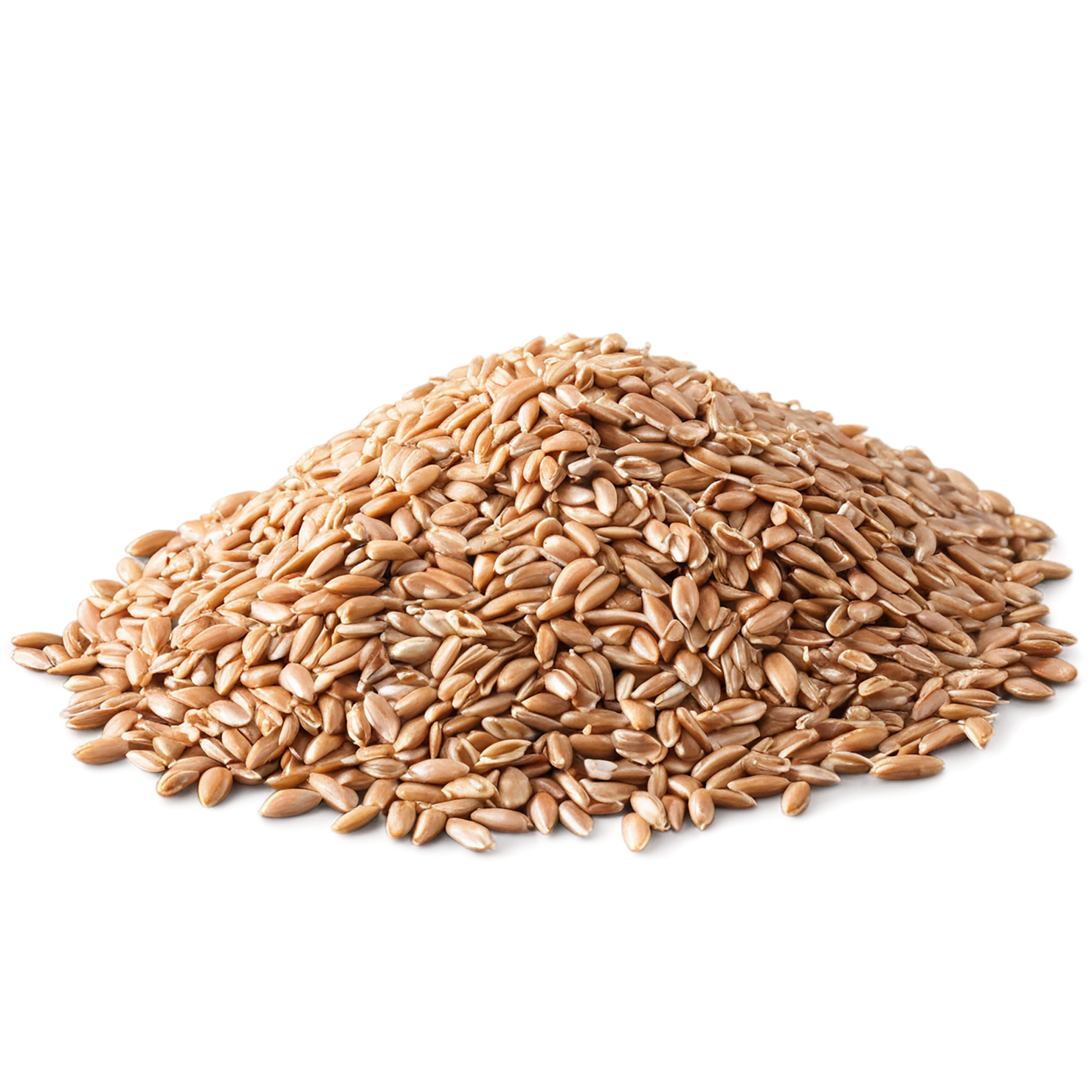 farro grains isolated on transparent background, #6228
