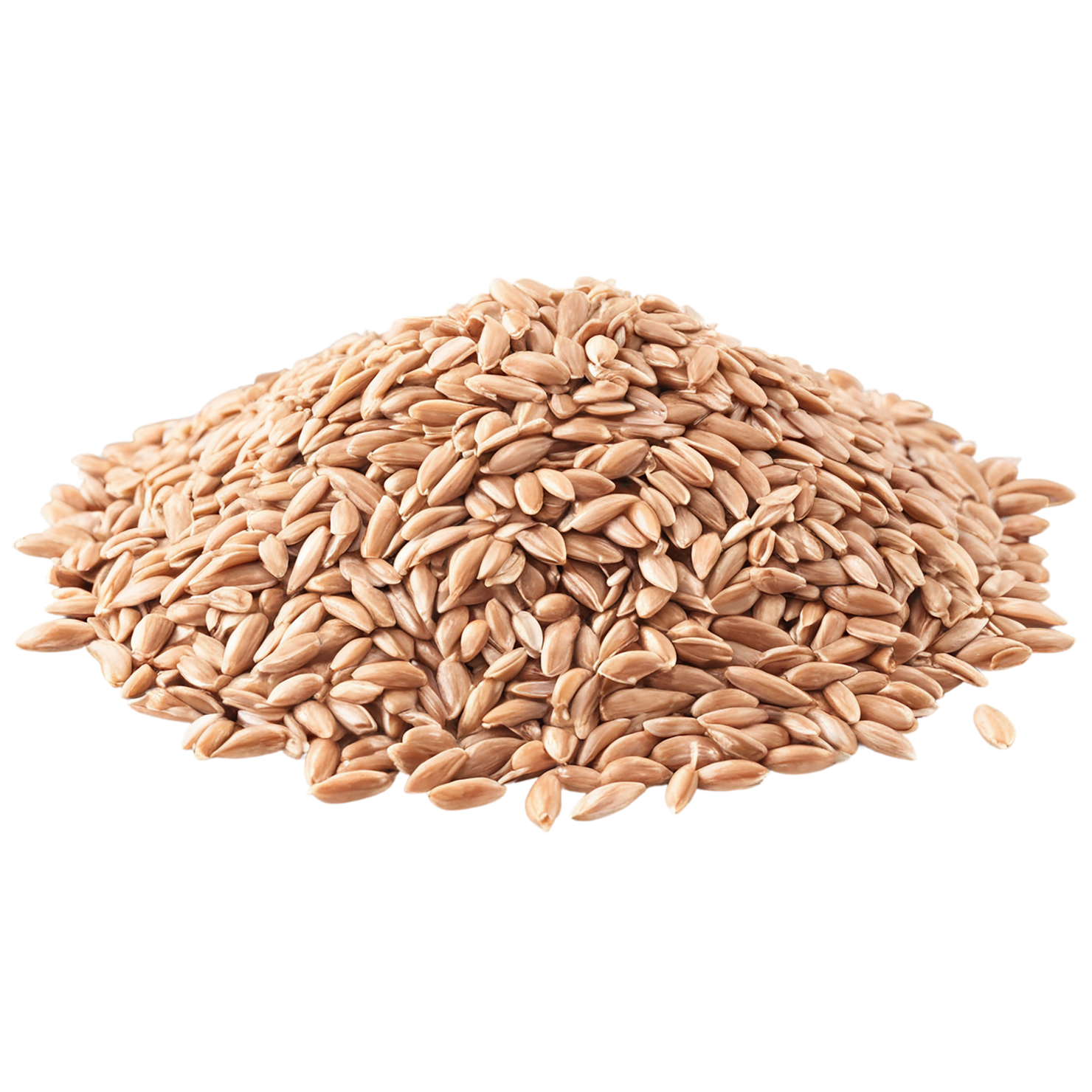 farro grains isolated on transparent background, #6230