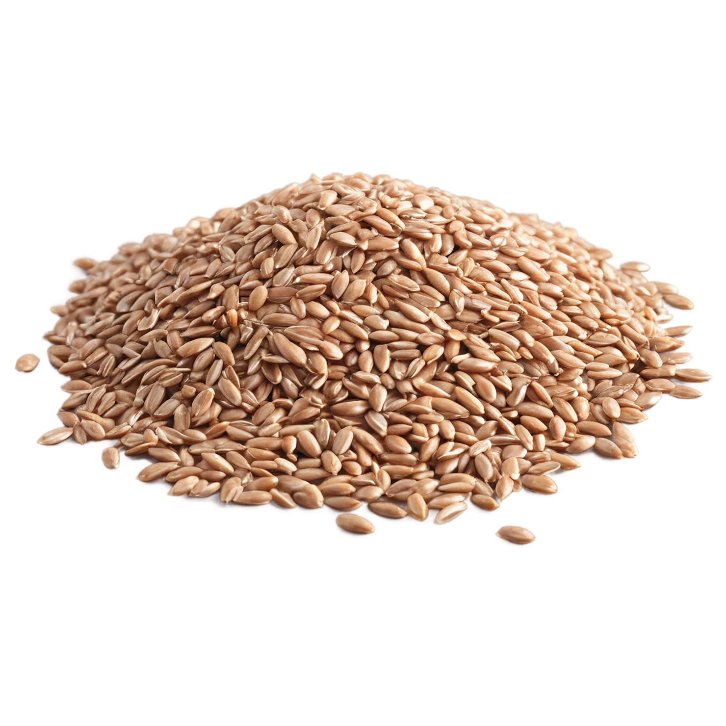farro grains isolated on transparent background, #6234