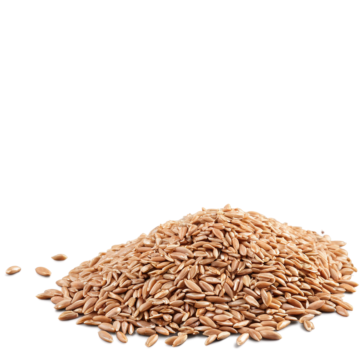 farro grains isolated on transparent background, #6241