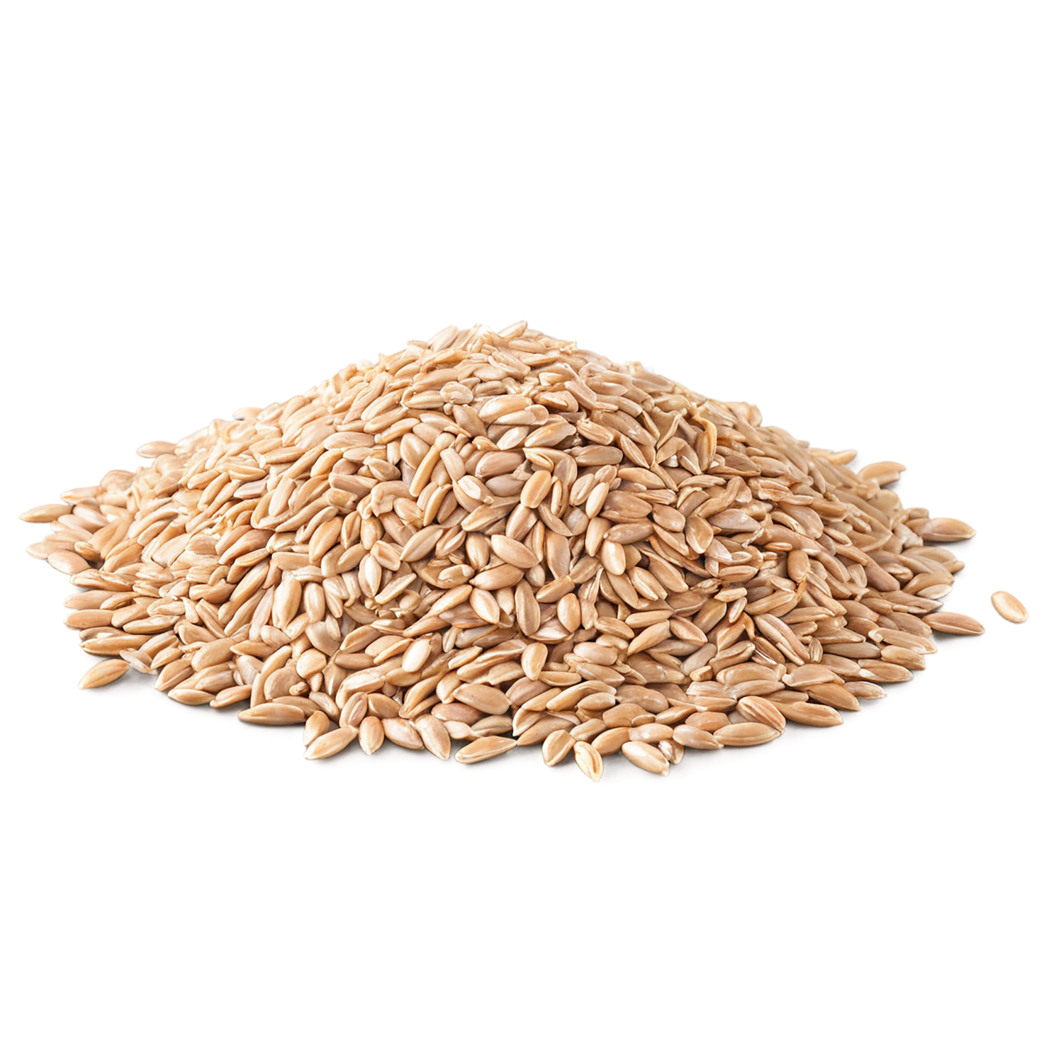 farro grains isolated on transparent background, #6242